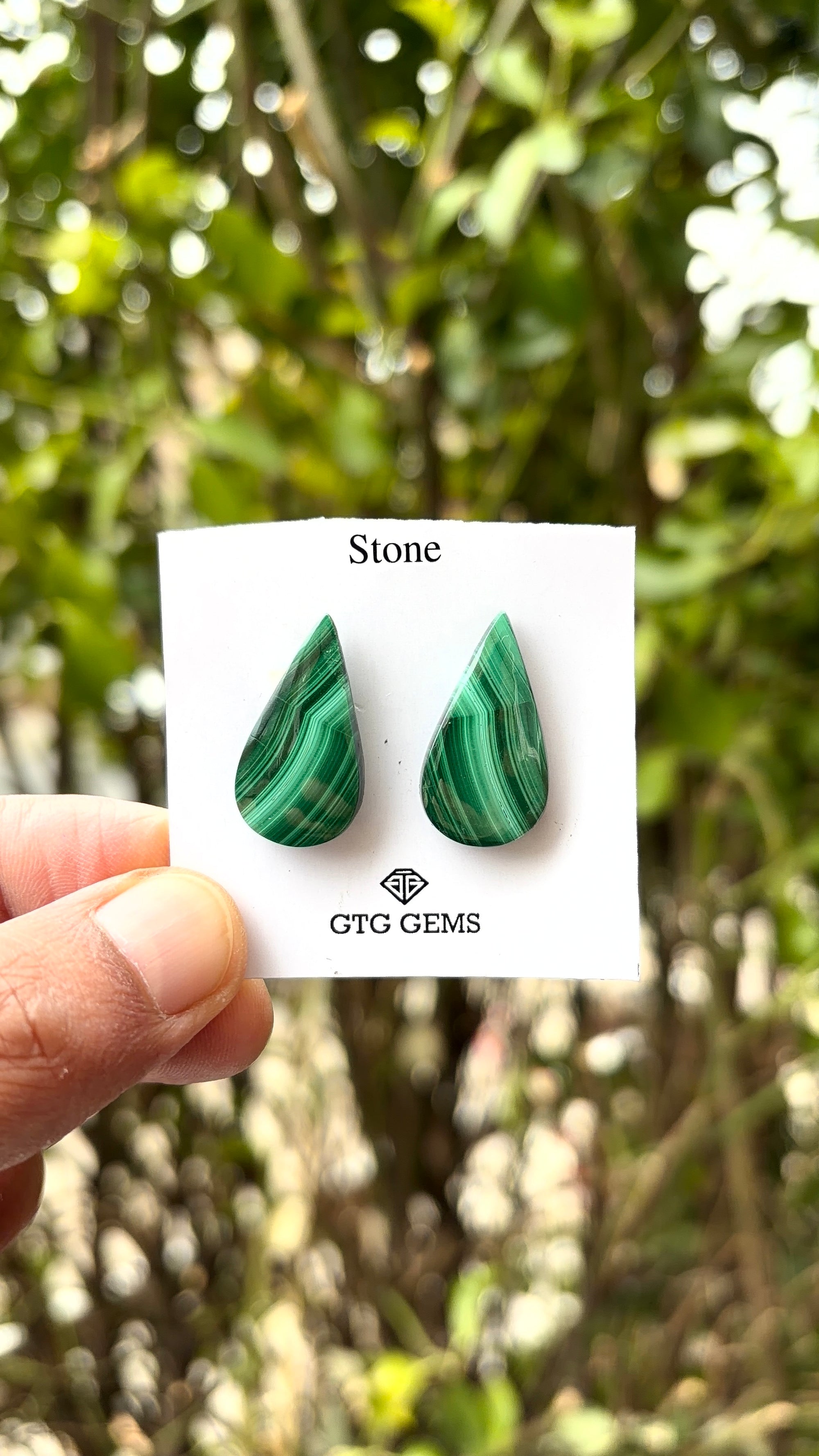 Malachite 25x13.5 mm Matching Pair Cabochon