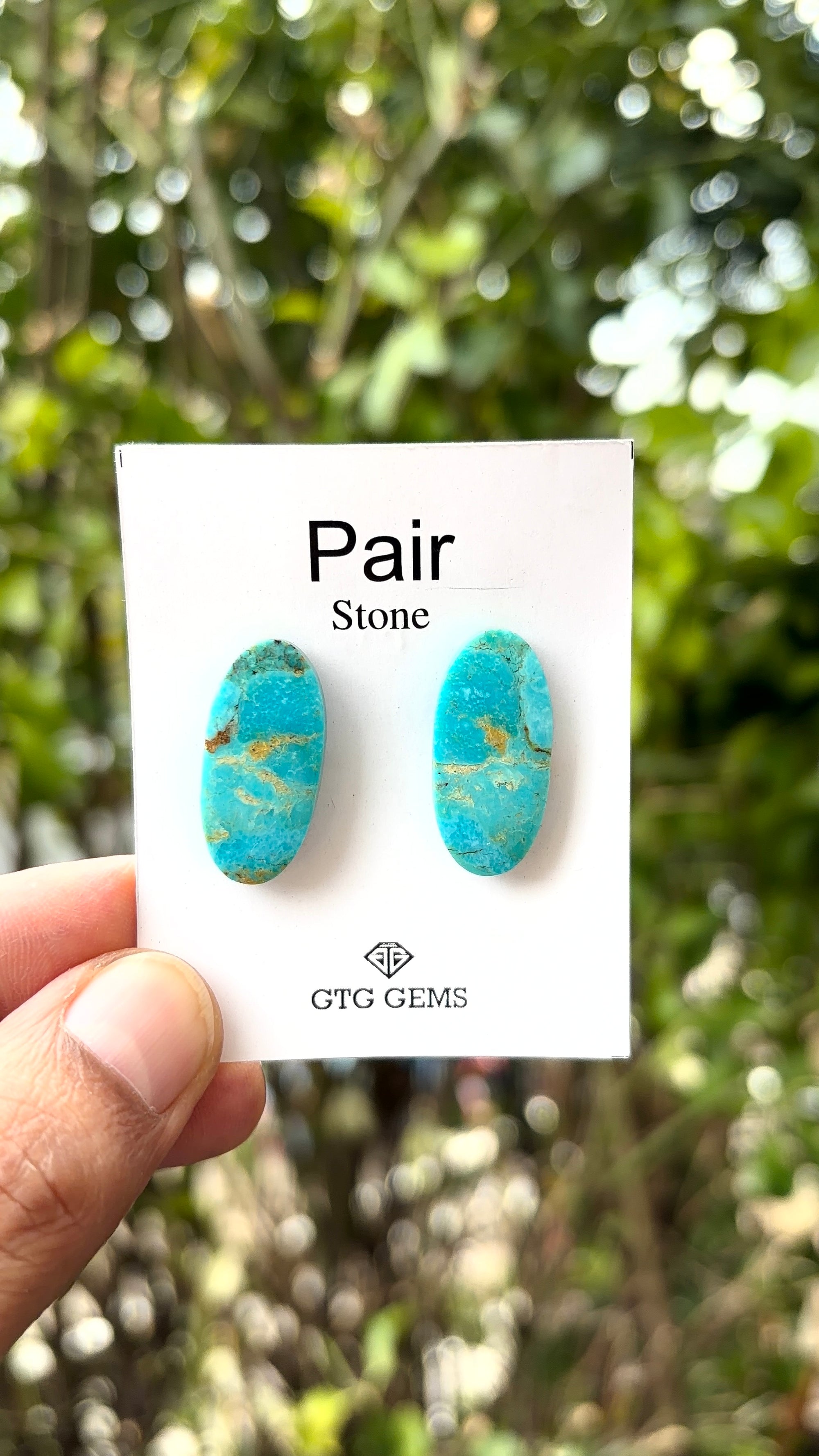 American Turquoise Cabochon Matching Pair 24x11 mm