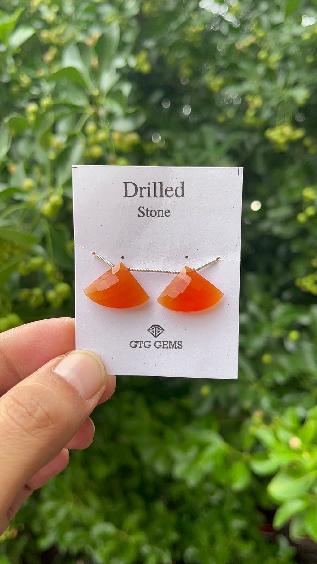 Natural Carnelian Drilled Fan Shape 14x20mm Approximately 16 Carat