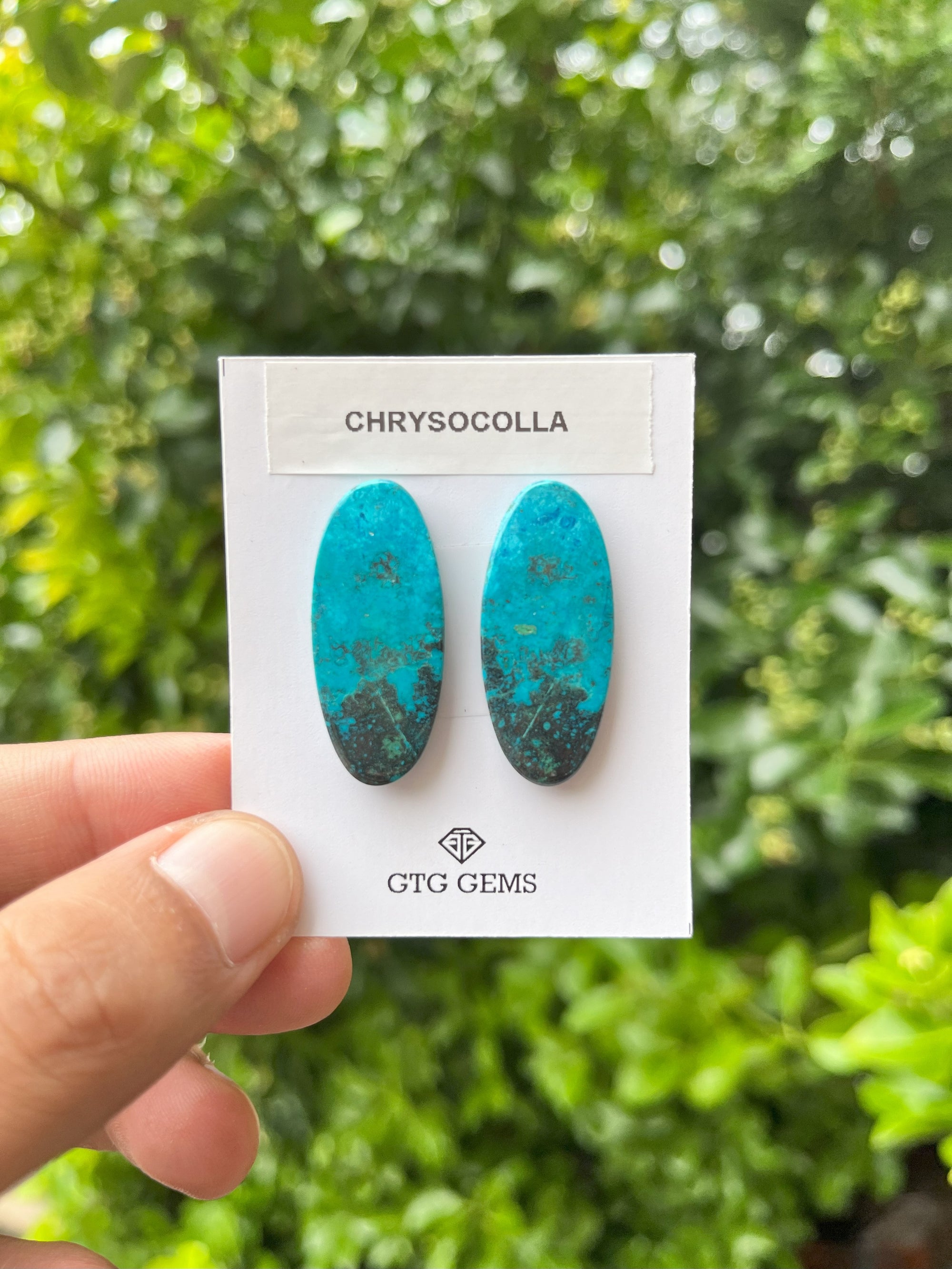 Chrysocolla Malachite Cabochon Matching Pair 33x14 mm