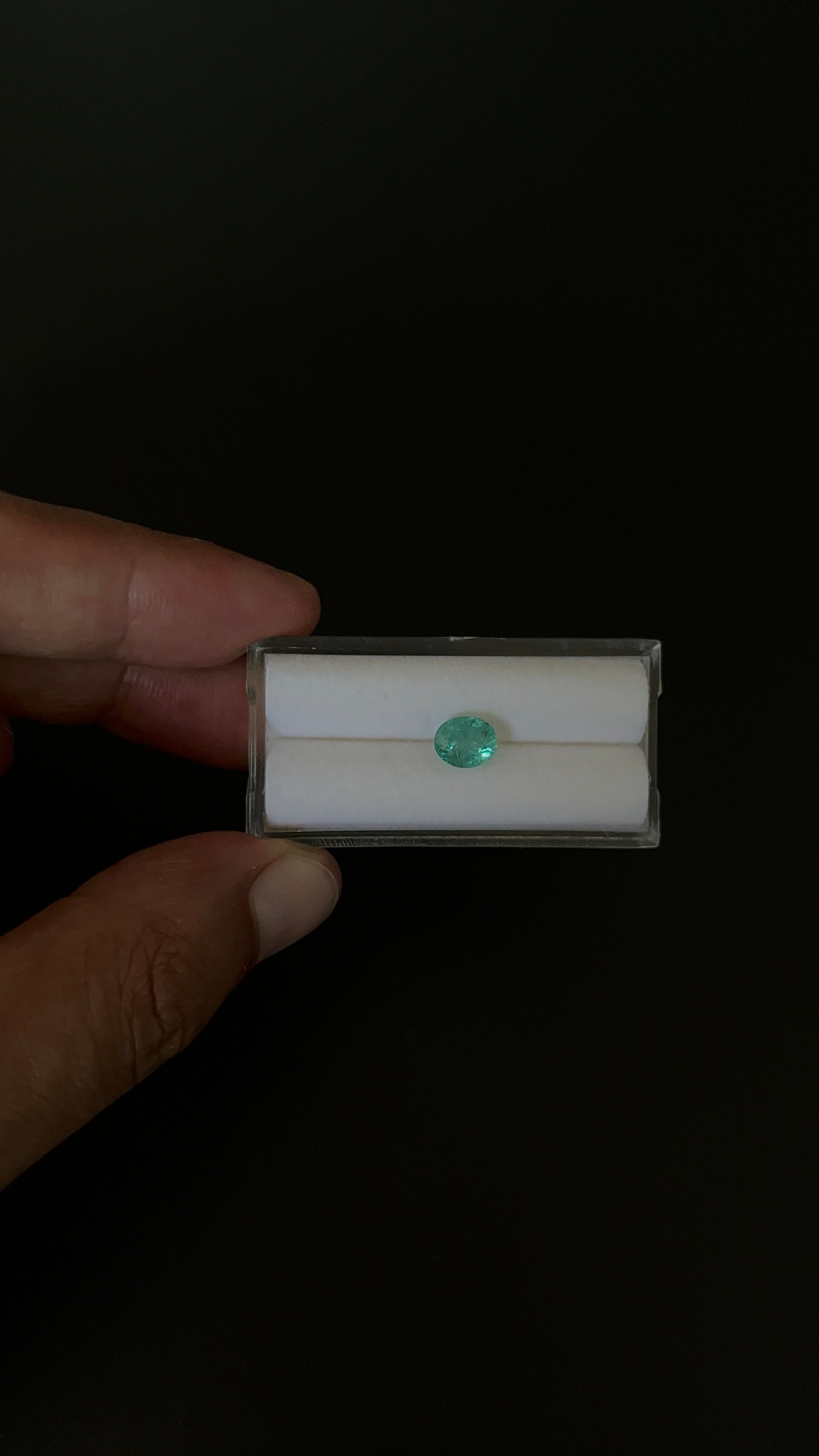 Natural Blue Apatite Faceted 7.5x6.2 mm Approximately 1.36 Carat (GTG-AP-88)