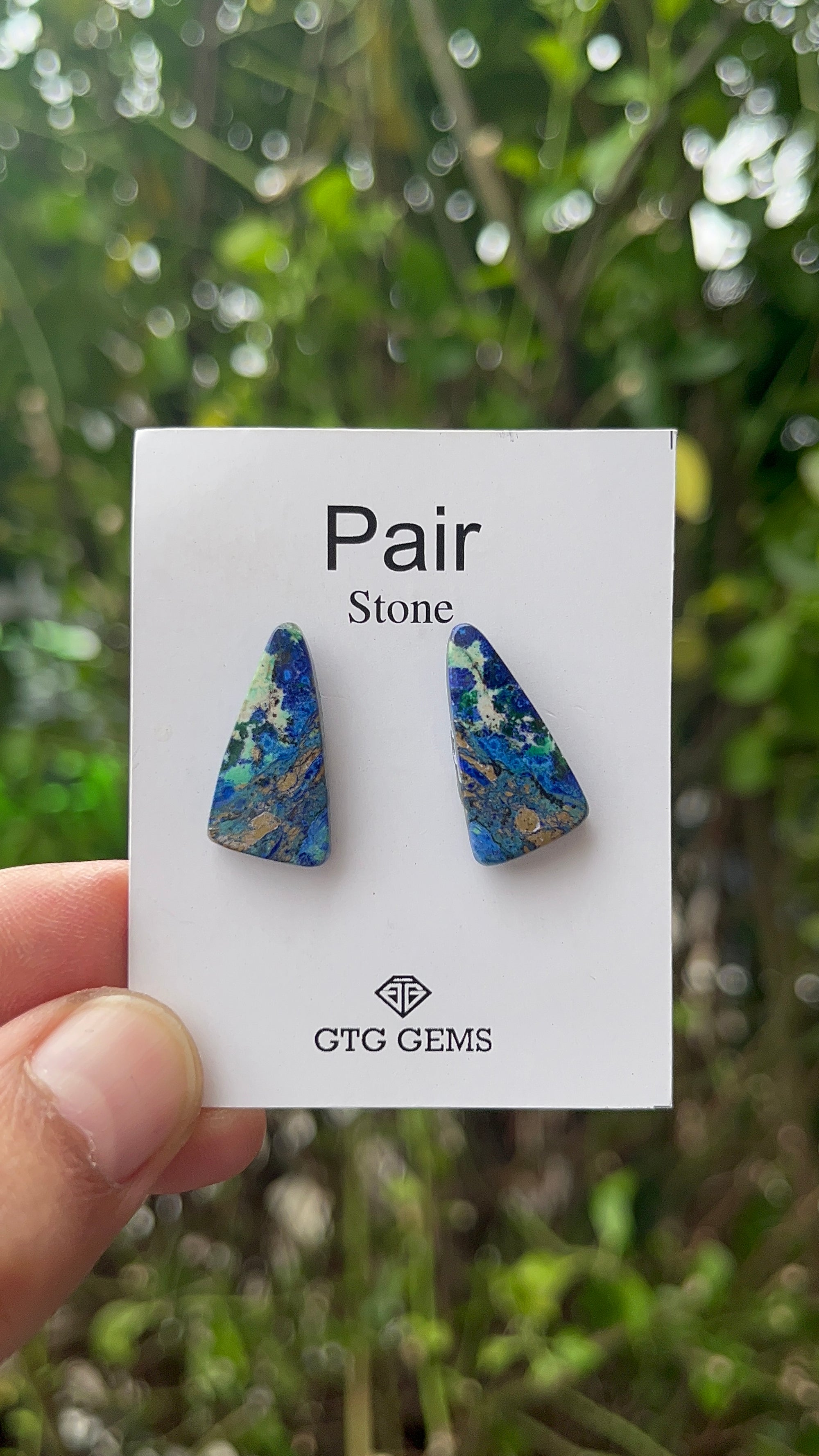 Azurite Malachite, Cabochon Matching Pair 22x11 mm