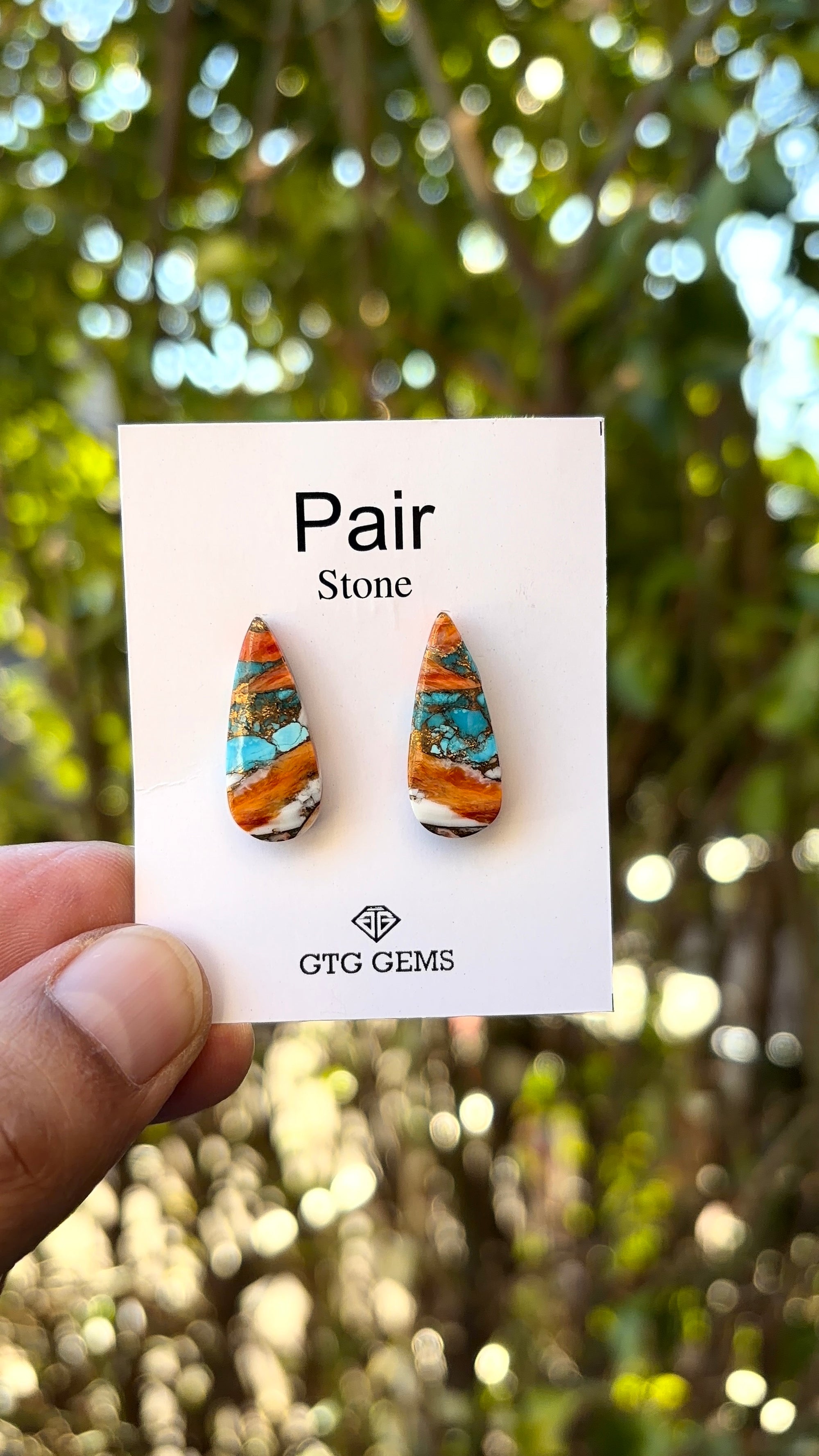 Oyster Copper Turquoise Cabochon Matching Pair 22x8 mm