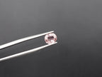 Natural Tourmaline Faceted 6.6x5.5 mm Single Piece Approximately .86 Carat (GTG-TOU-344)