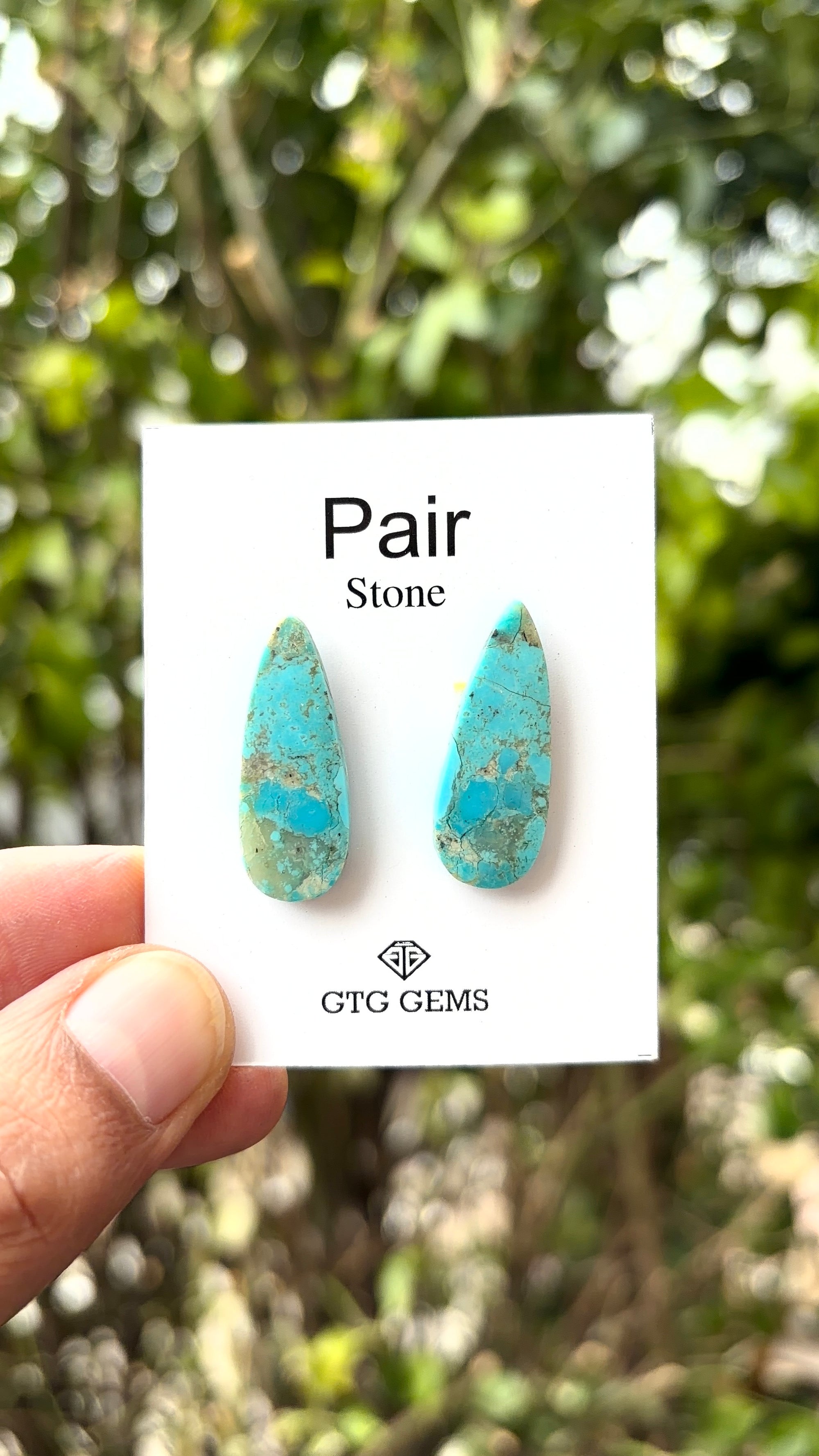 American Turquoise Cabochon Matching Pair 26x9 mm