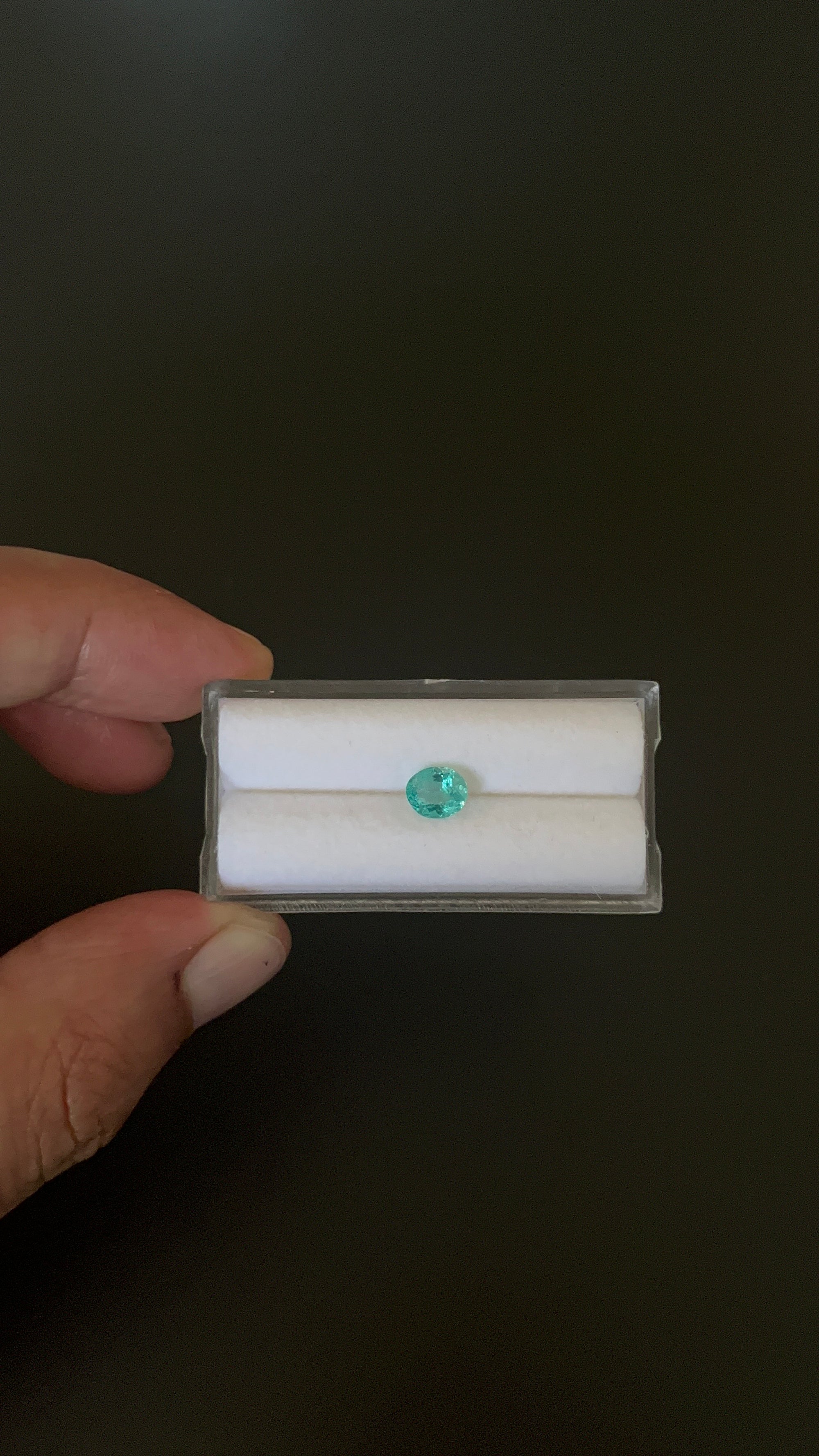 Natural Blue Apatite Faceted 6.6x5.6 mm Approximately .82 Carat (GTG-AP-107)
