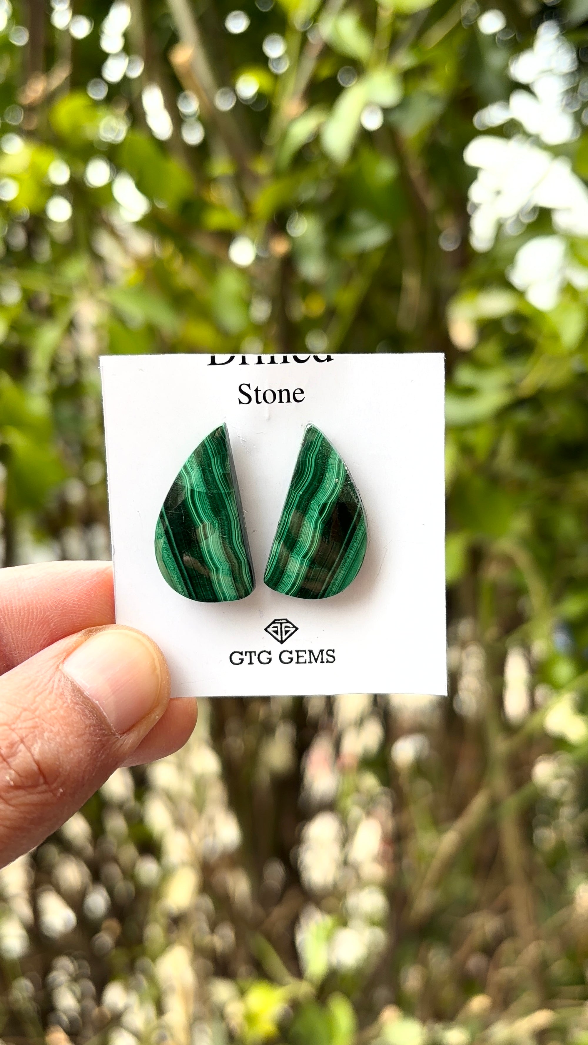 Malachite 26x13.5 mm Matching Pair Cabochon