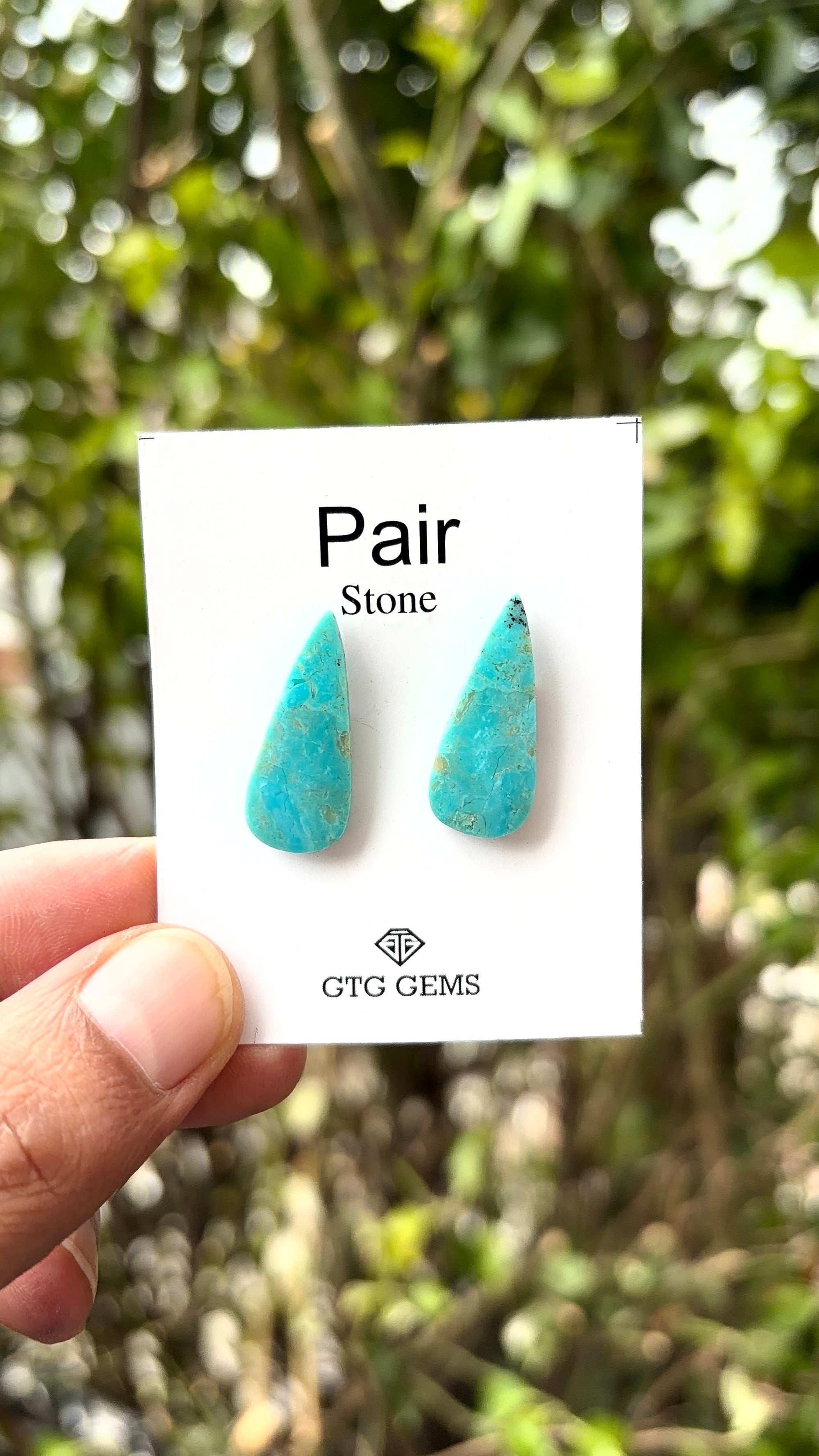 American Turquoise Cabochon Matching Pair 23x9 mm