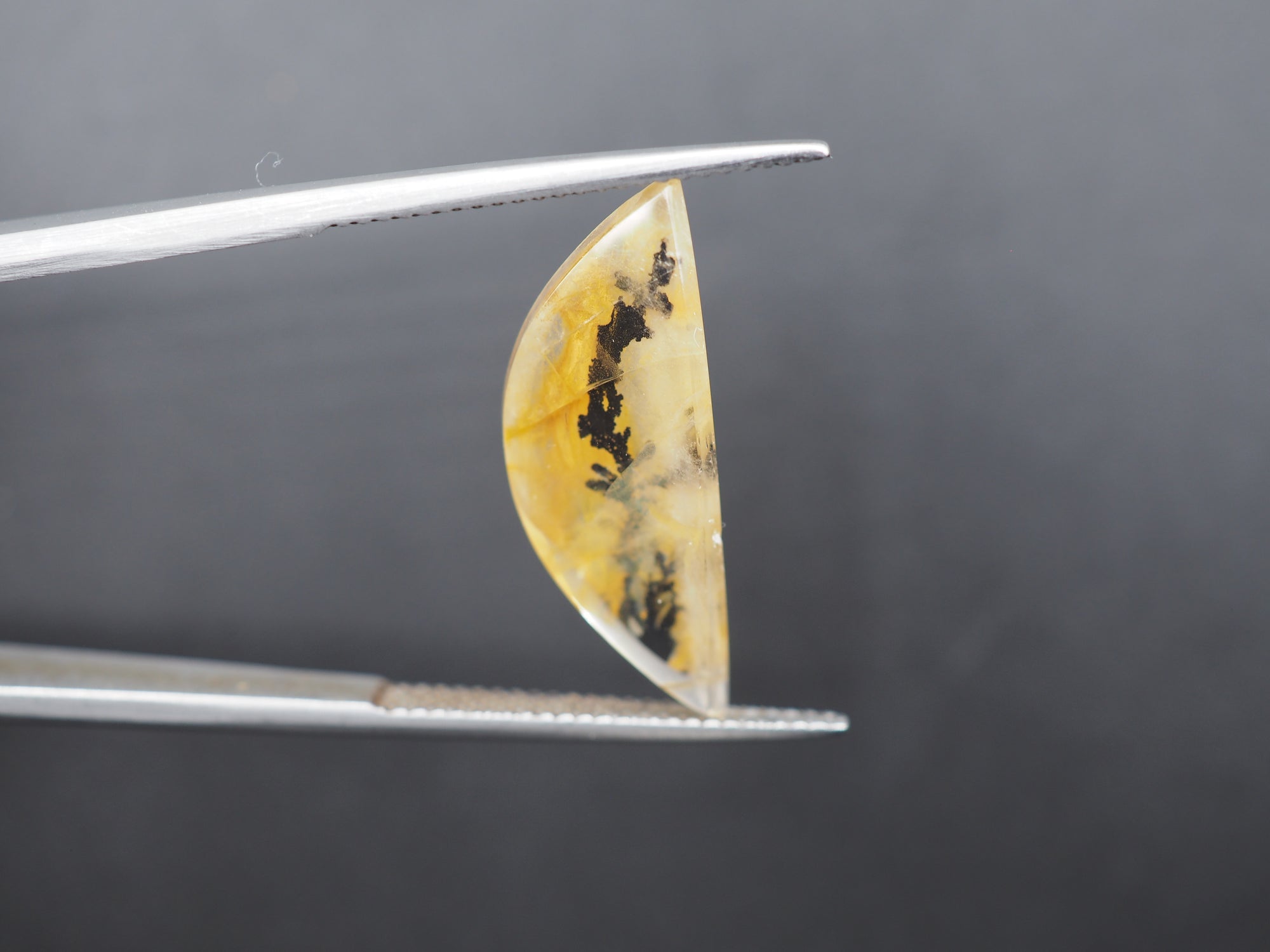 Dendrite Quartz  24x9 mm