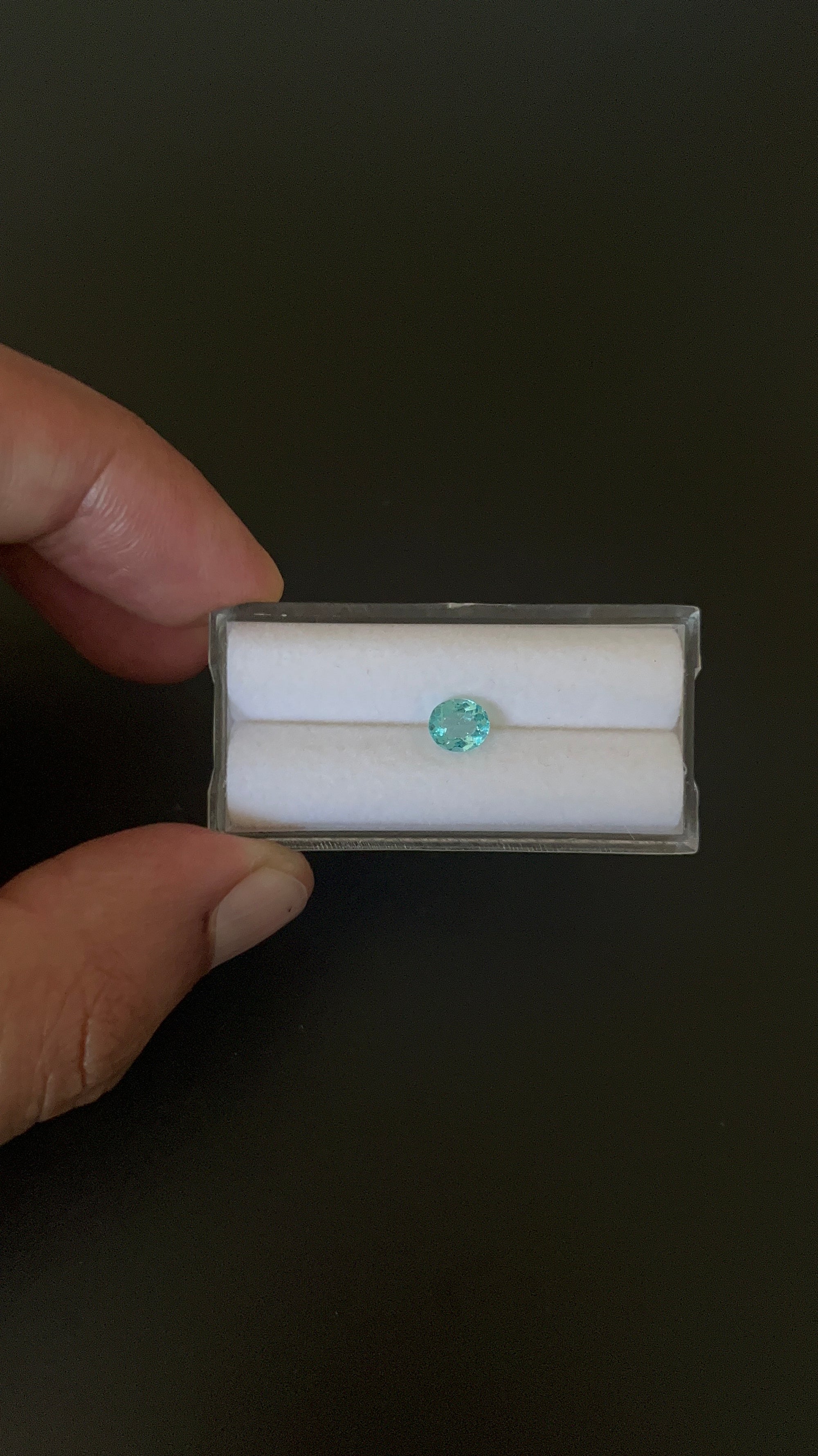 Natural Blue Apatite Faceted 6.1x5.3 mm Approximately .75 Carat (GTG-AP-109)