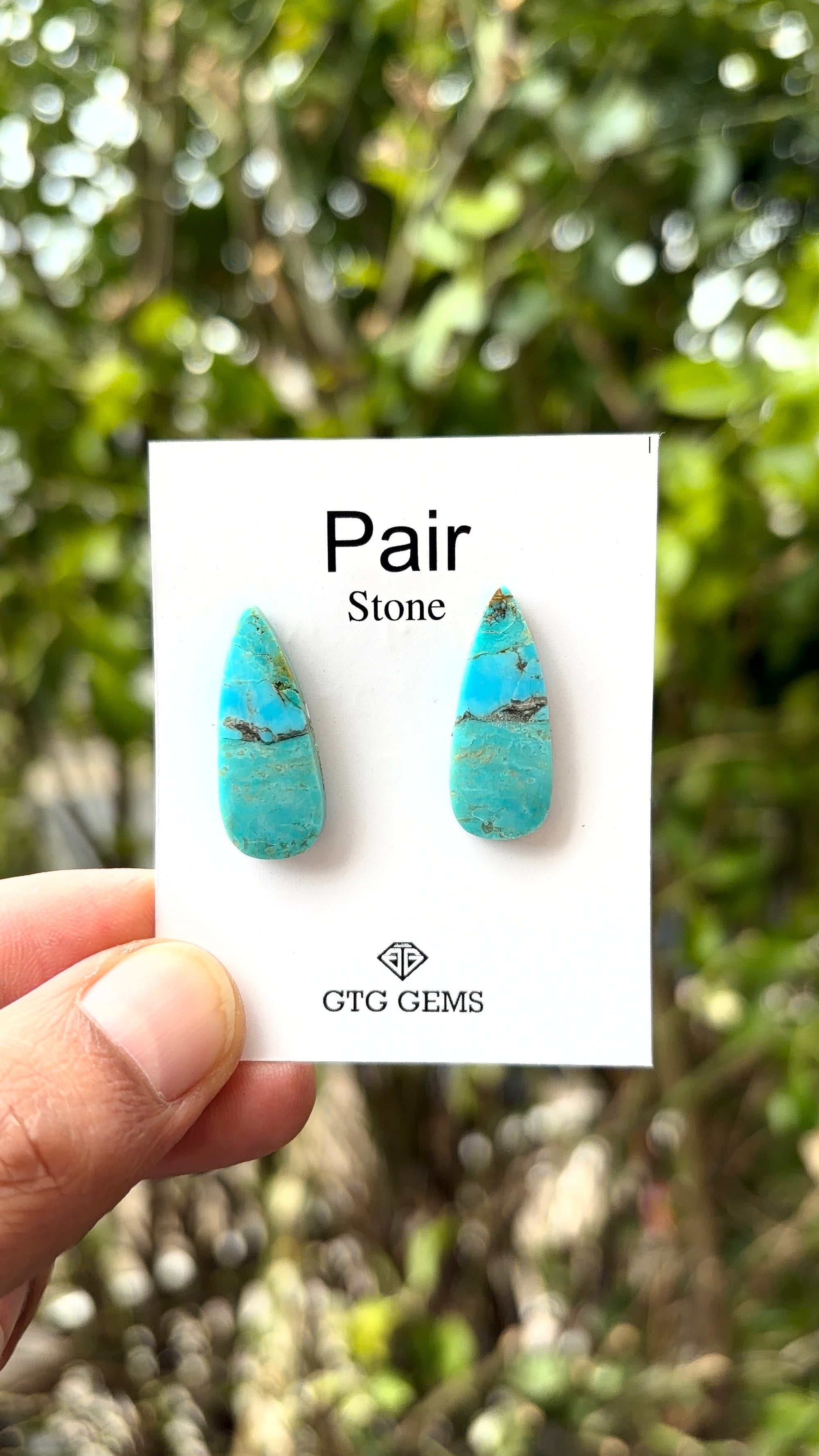 American Turquoise Cabochon Matching Pair 24x9 mm