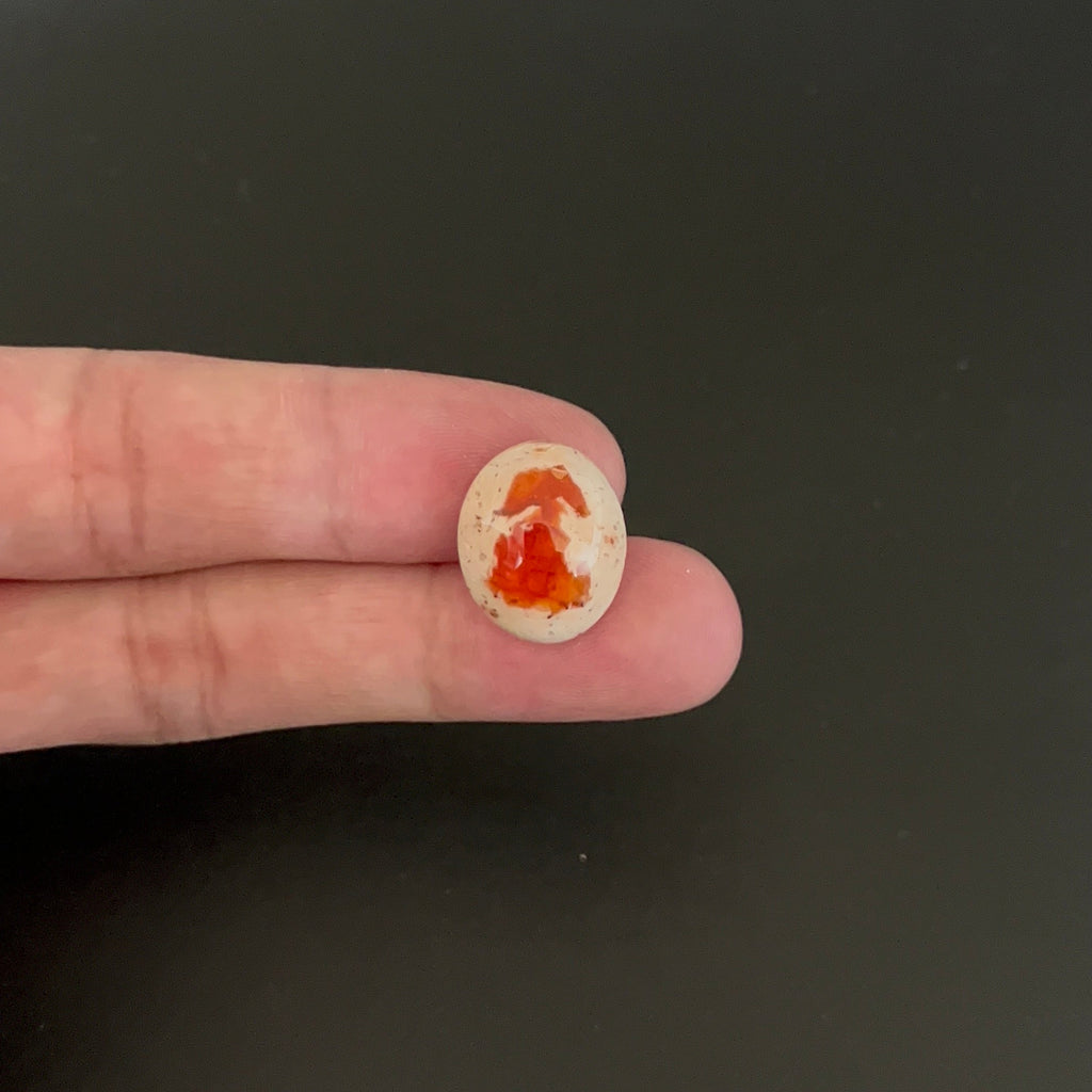Mexican Fire Opal Cabochon 18x15 mm Approximately 10.18 Carat (GTG-MFO-23)