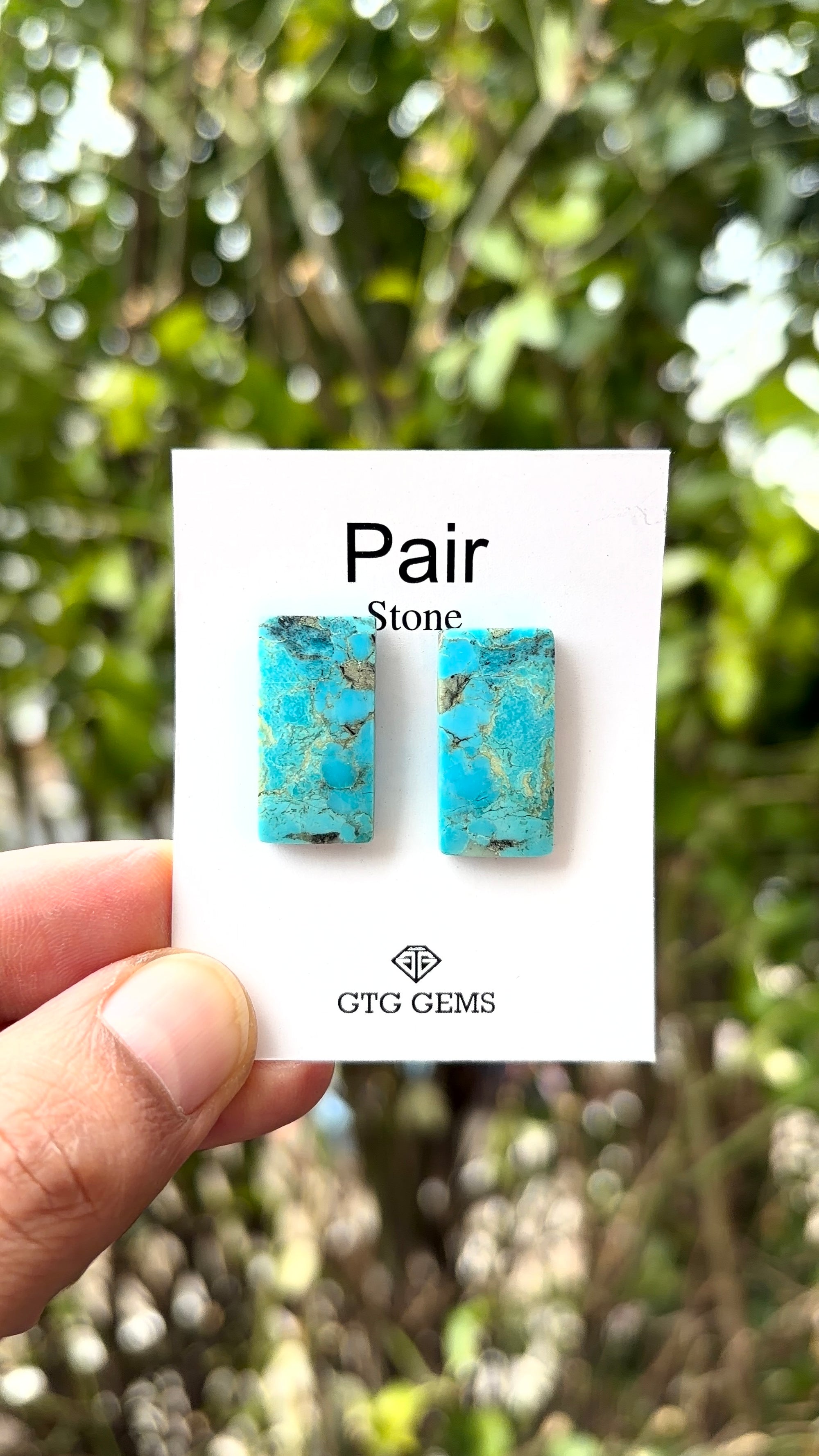 American Turquoise Cabochon Matching Pair 22x10 mm