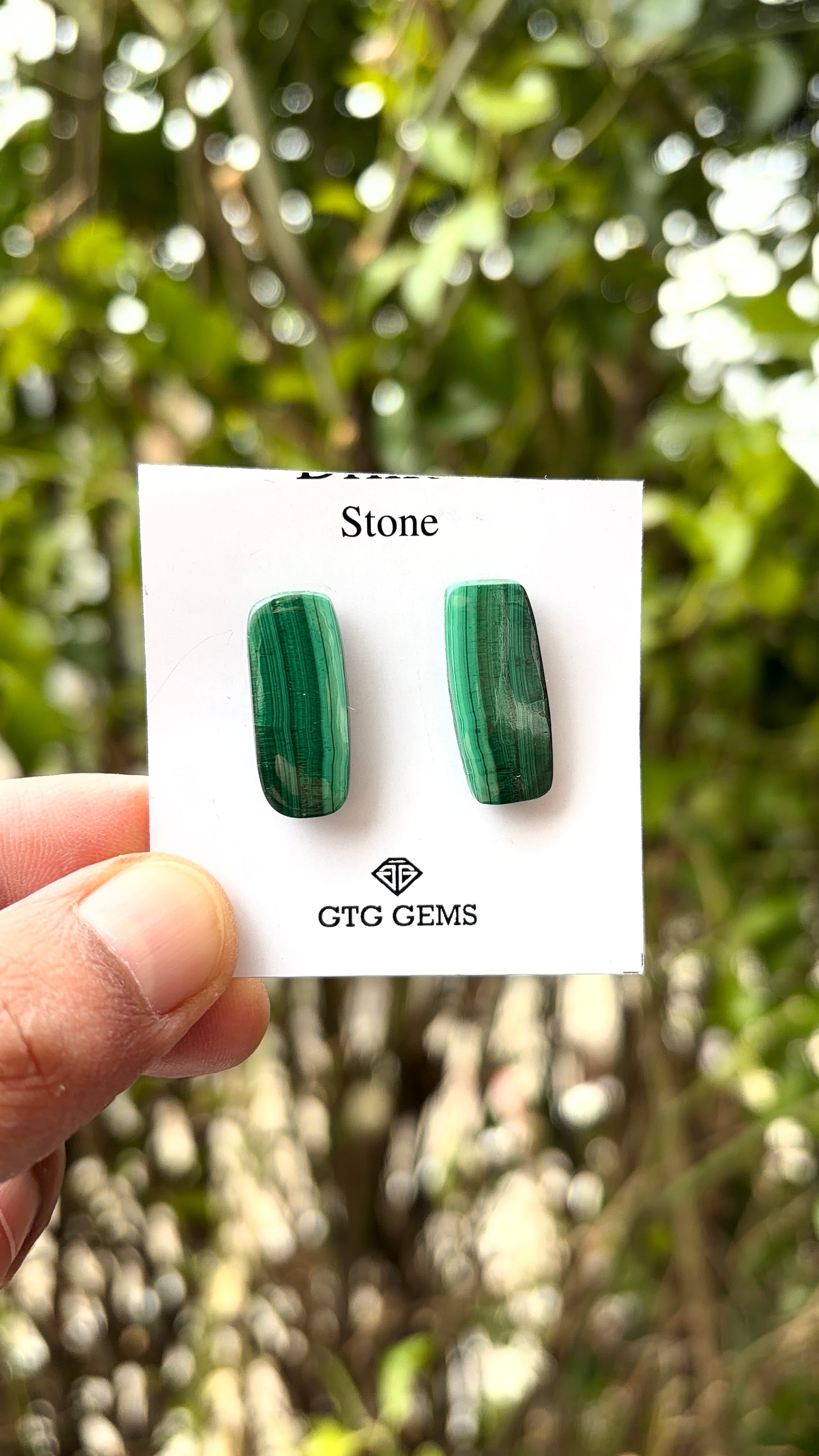 Malachite 23x10 mm Matching Pair Cabochon