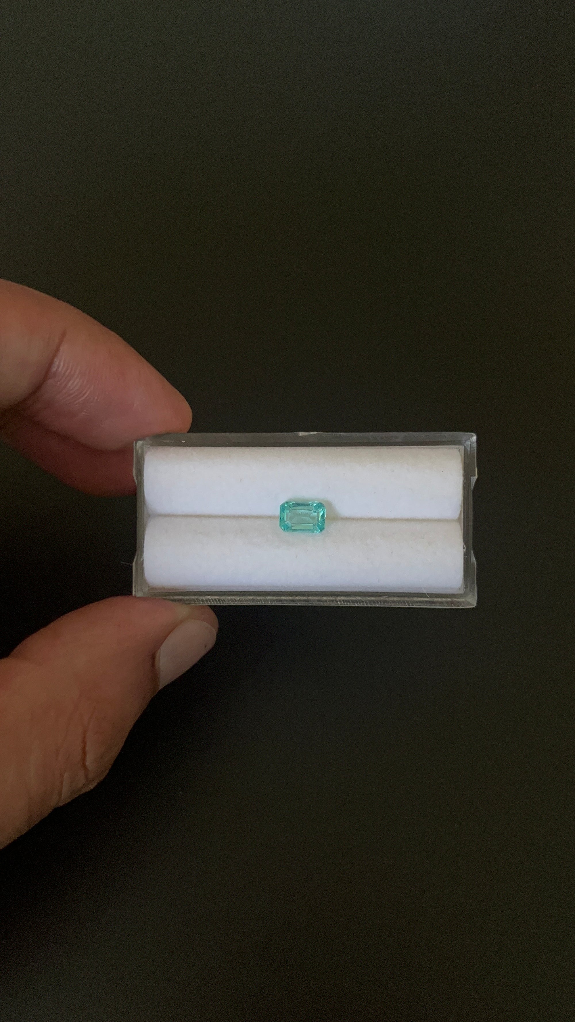 Natural Blue Apatite Faceted 6.6x4.5 mm Approximately .83 Carat (GTG-AP-110)