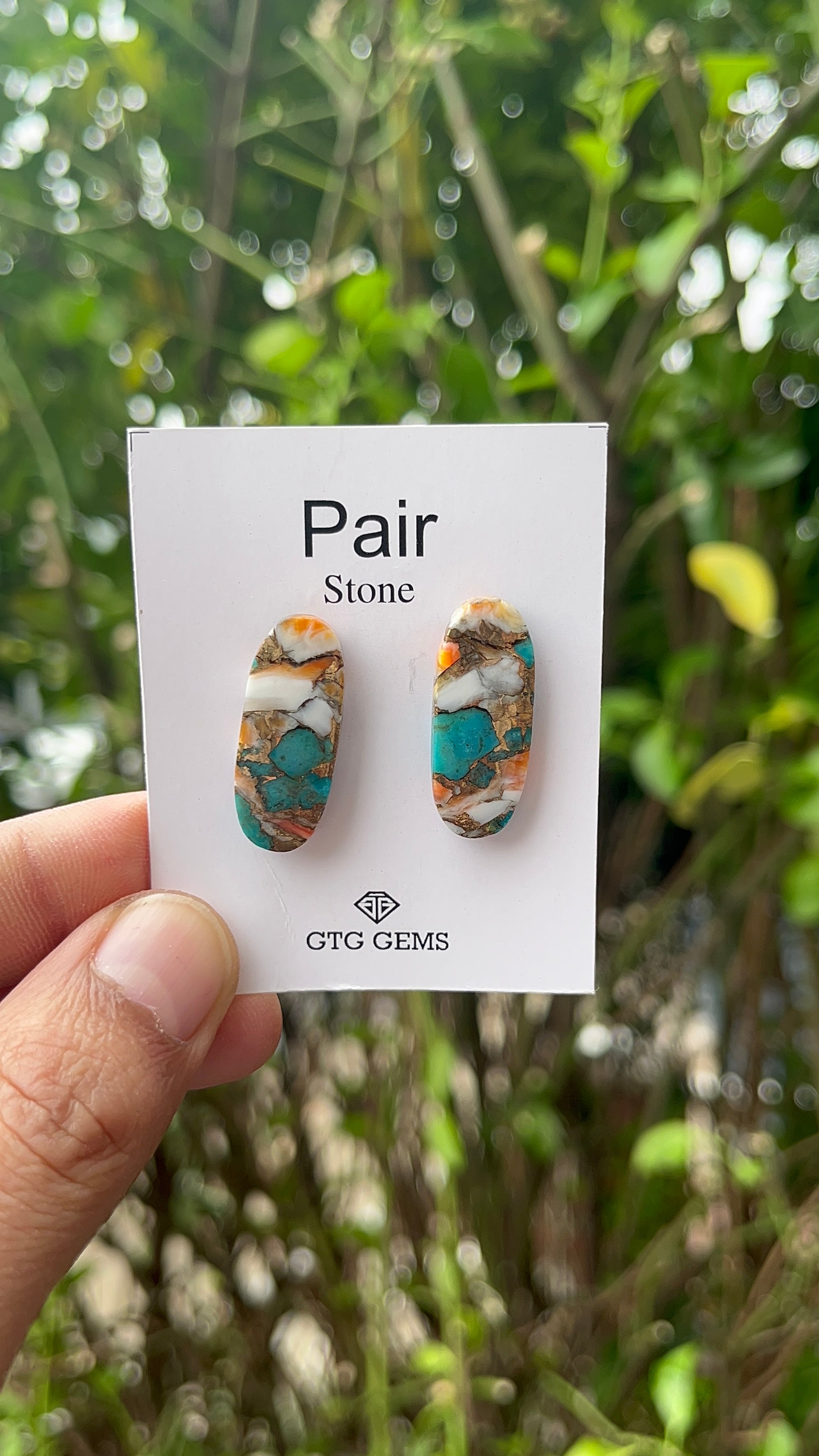 Oyster Copper Turquoise Cabochon Matching Pair 27x11 mm