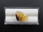 Dendrite Quartz 18x13 mm