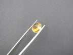 Citrine Faceted 10 mm Single Piece Approximately 3.34 Carat (GTG-CT-11)