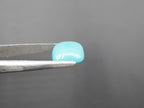 Arizona Turquoise Cabochon 12x12 mm Approximately 5.68 Carat (GTG-AT-24)