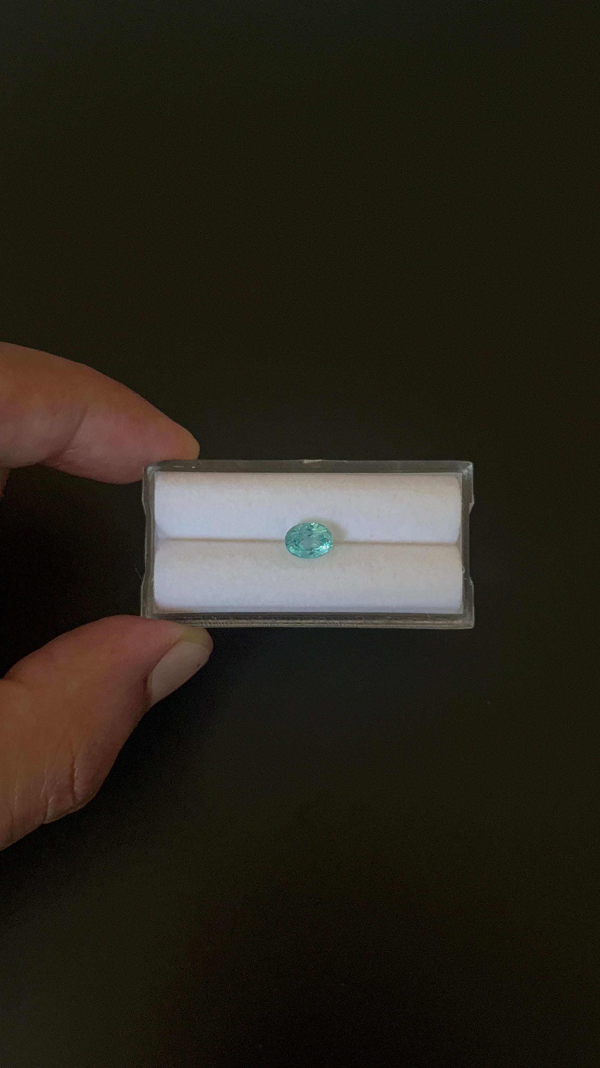 Natural Blue Apatite Faceted 7.1x5.4 mm Approximately 1.06 Carat (GTG-AP-111)
