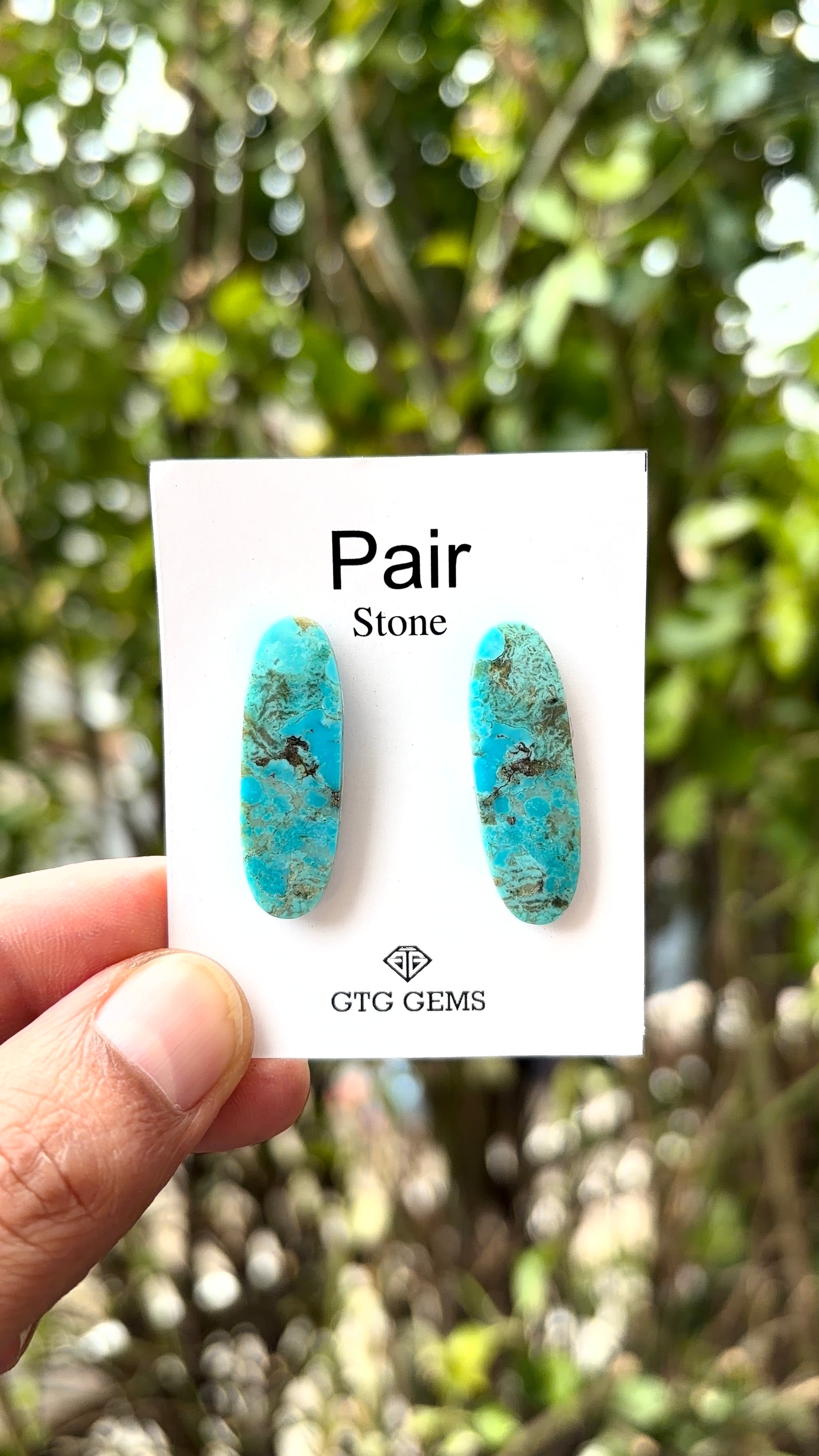 American Turquoise Cabochon Matching Pair 30x9 mm