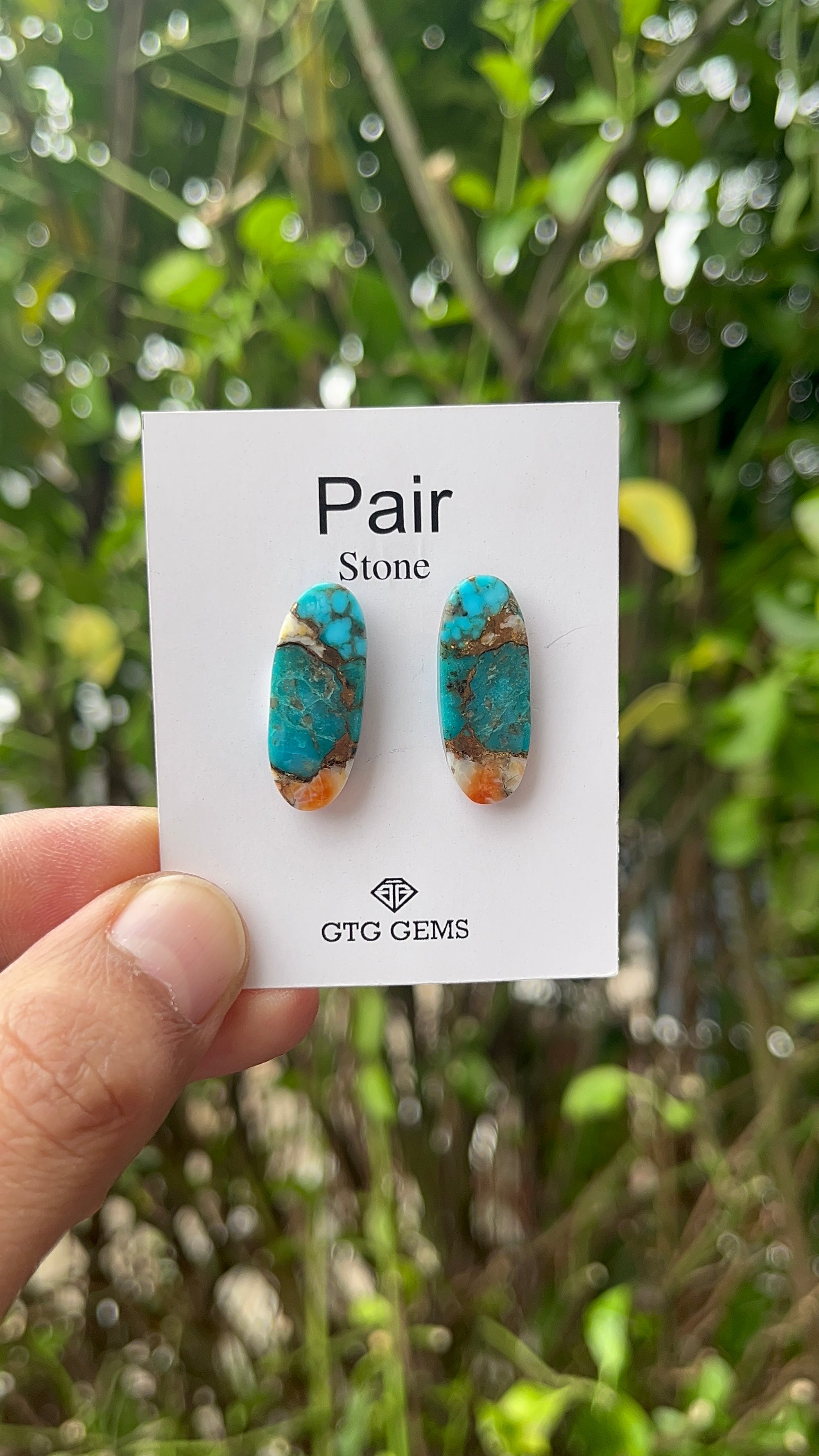Oyster Copper Turquoise Cabochon Matching Pair 25x10mm