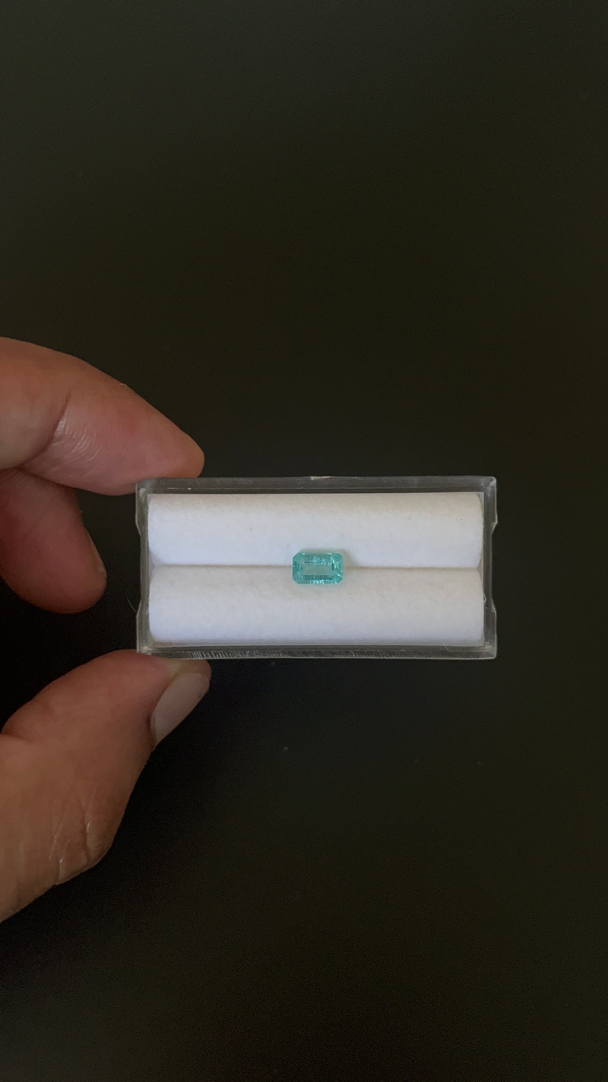 Natural Blue Apatite Faceted 7x4.4 mm Approximately .83 Carat (GTG-AP-112)