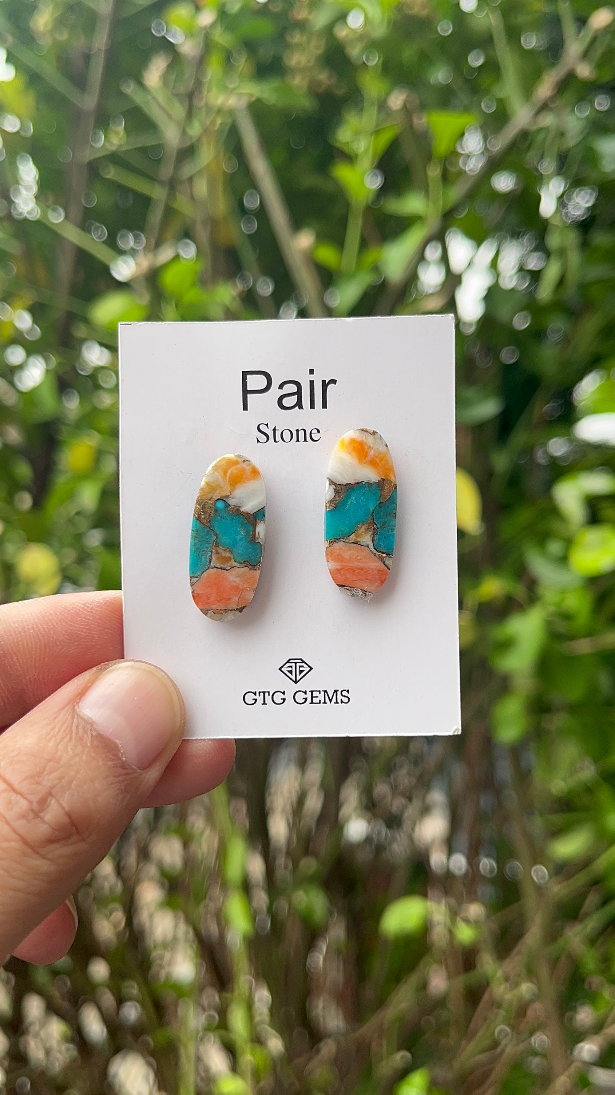 Oyster Copper Turquoise Cabochon Matching Pair 25x11 mm