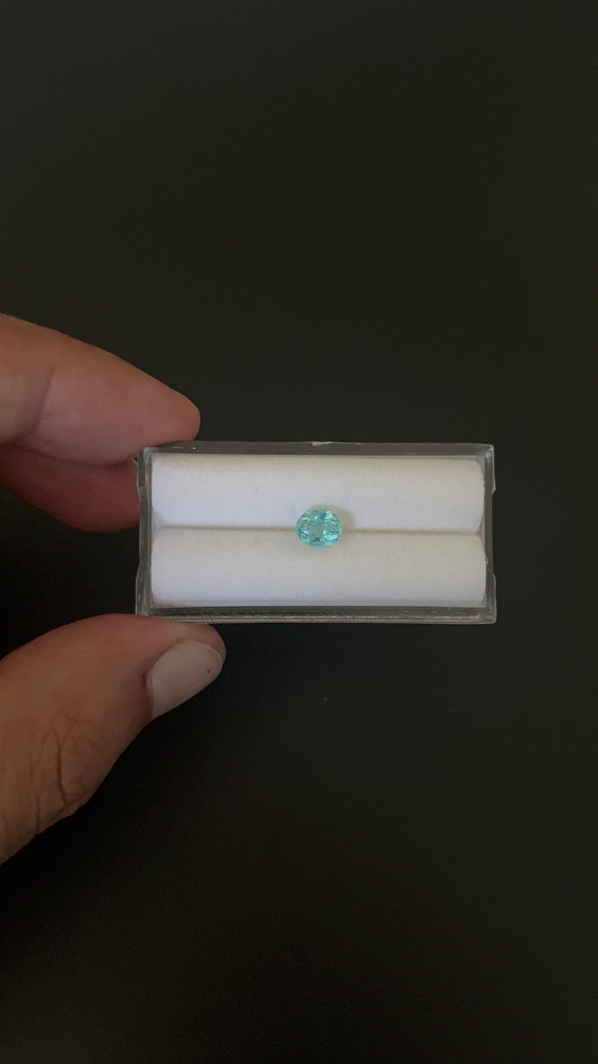 Natural Blue Apatite Faceted 6.4x5 mm Approximately .74 Carat (GTG-AP-113)