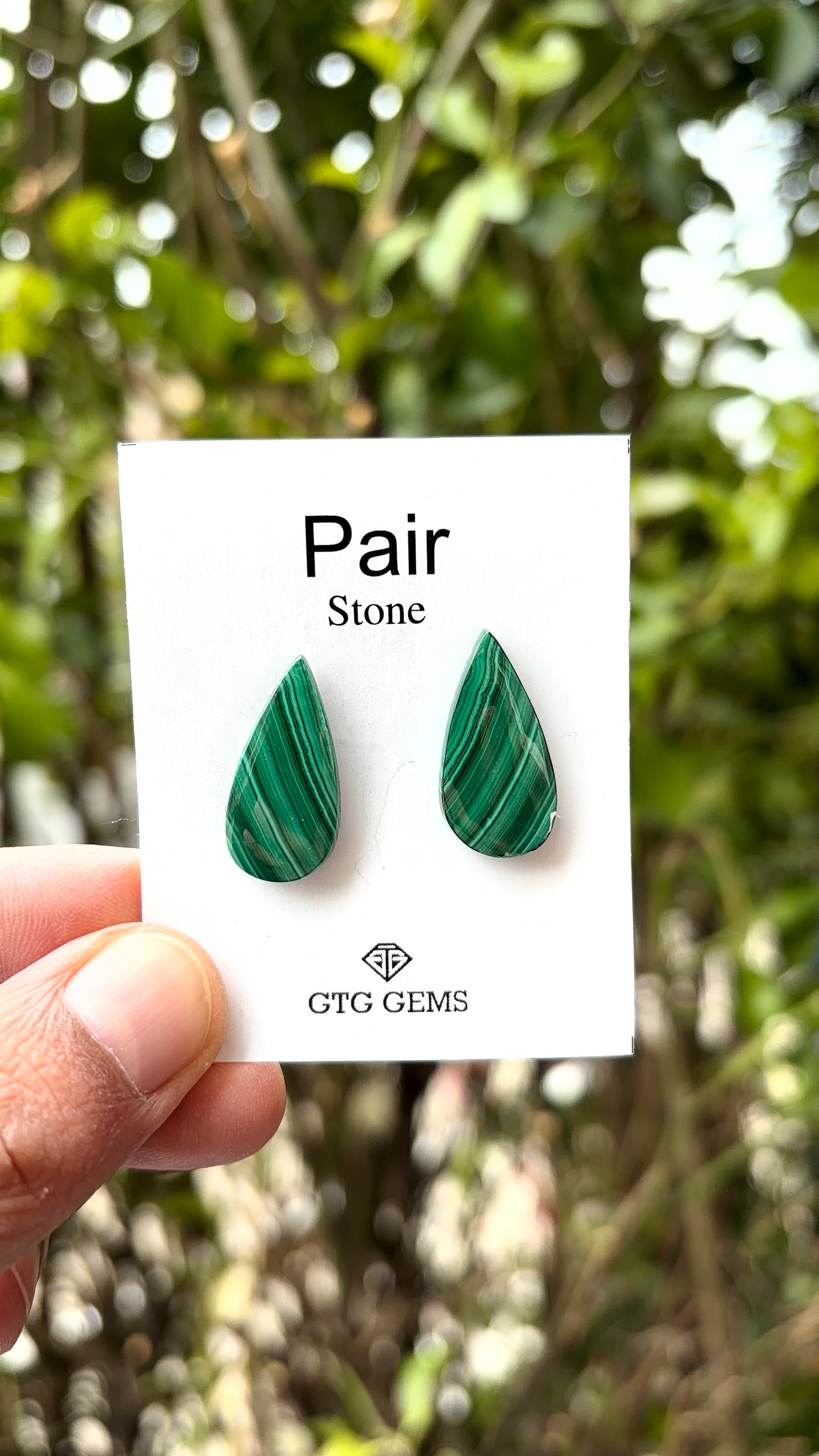 Malachite 23x11.5 mm Matching Pair Cabochon