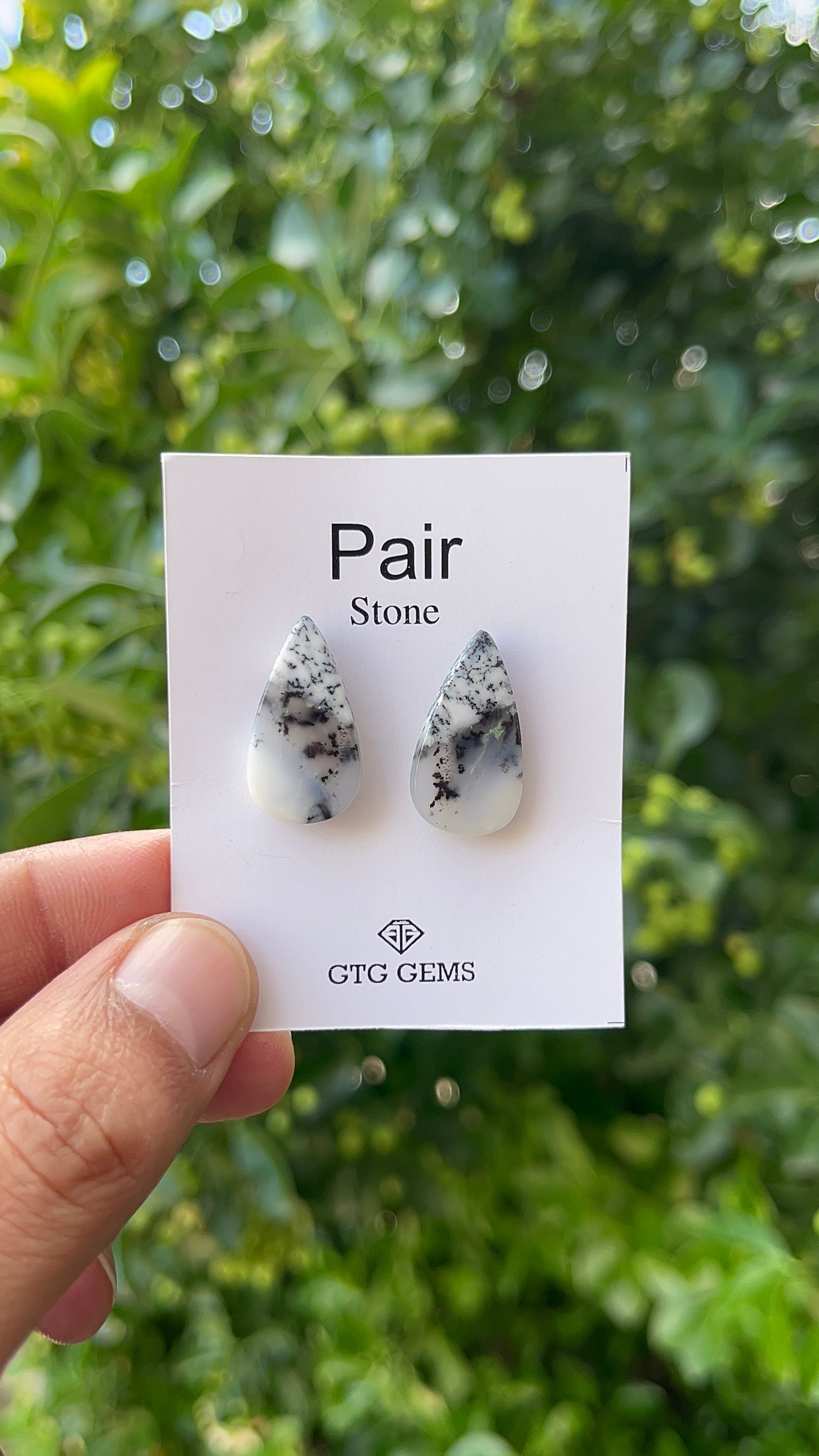 Dendritic Opal Cabochon Matching Pair 23x12.5 mm