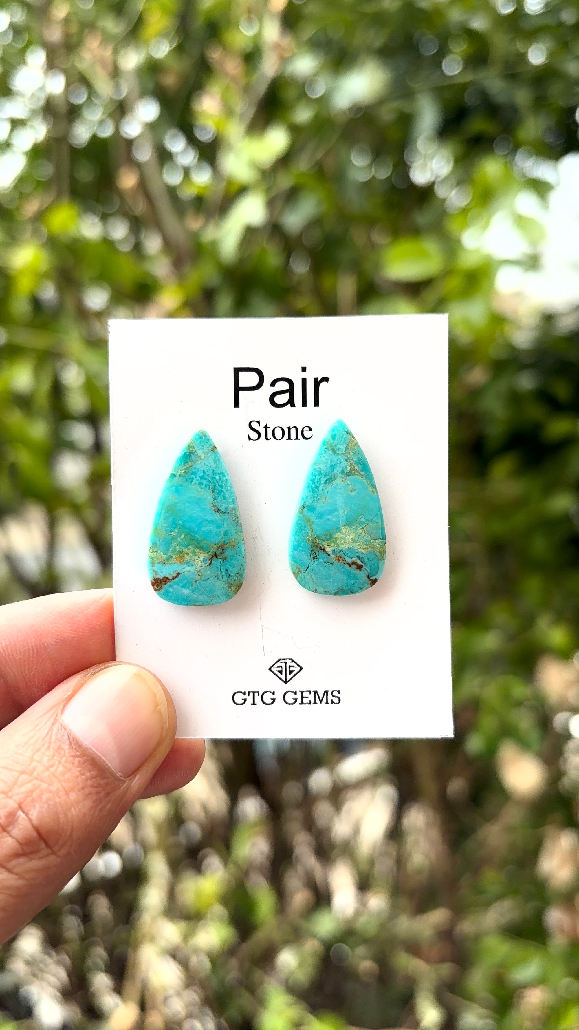 American Turquoise Cabochon Matching Pair 25x13 mm