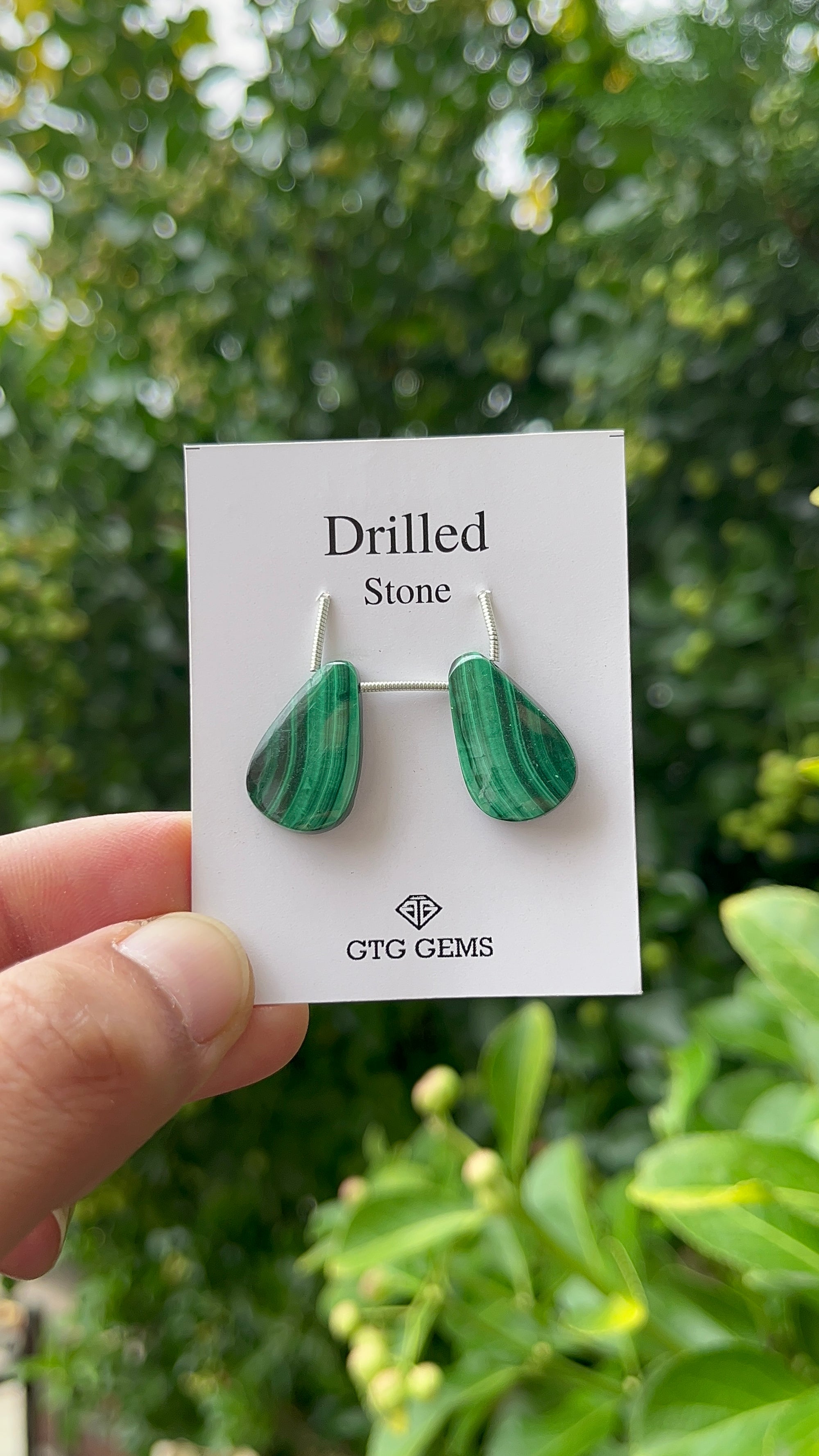 Drilled Malachite, Matching Pair, 20x12mm,  Approximately 22.50 Carat (GTG-DMA-13)