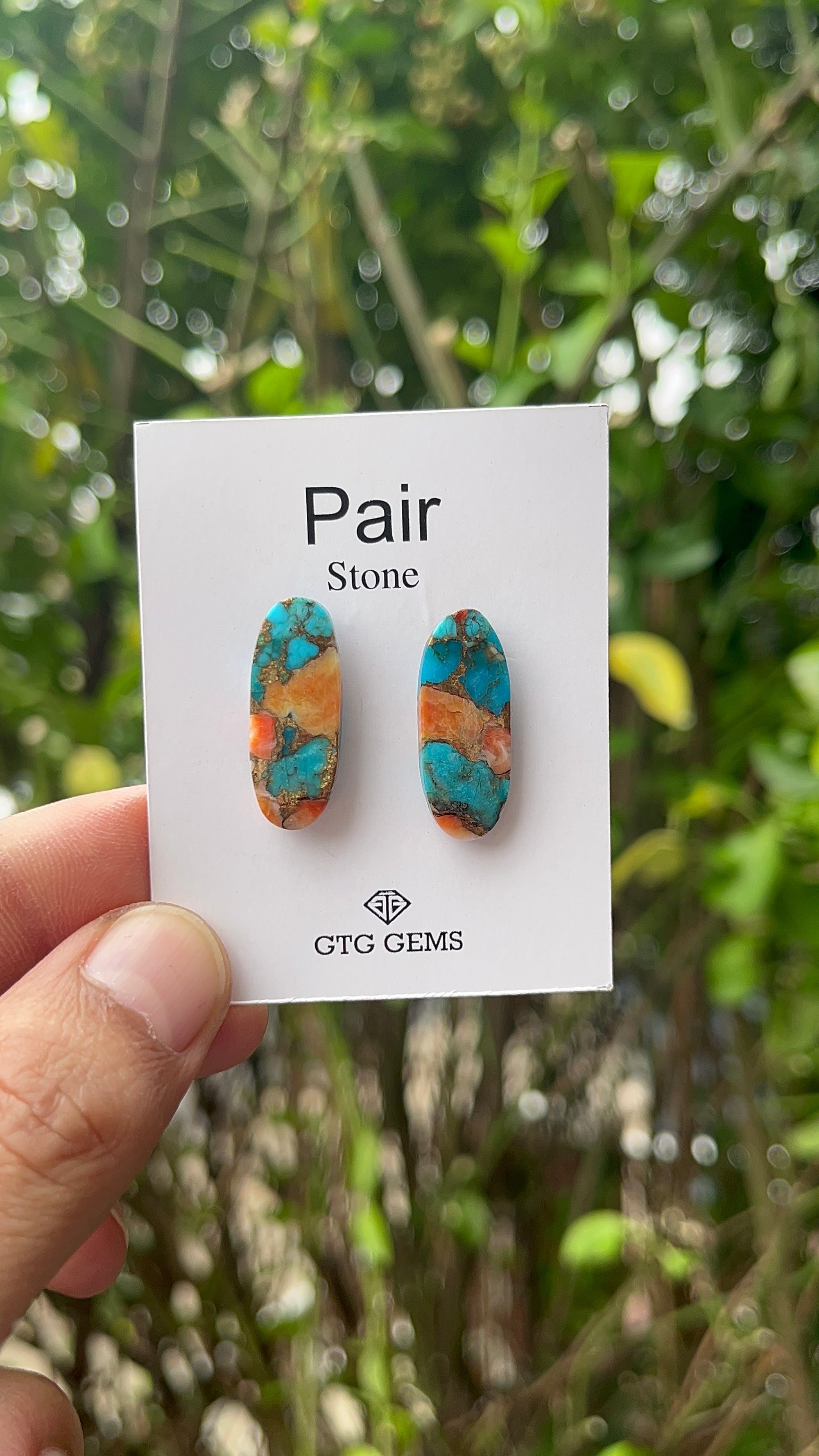 Oyster Copper Turquoise Cabochon Matching Pair 25x10 mm