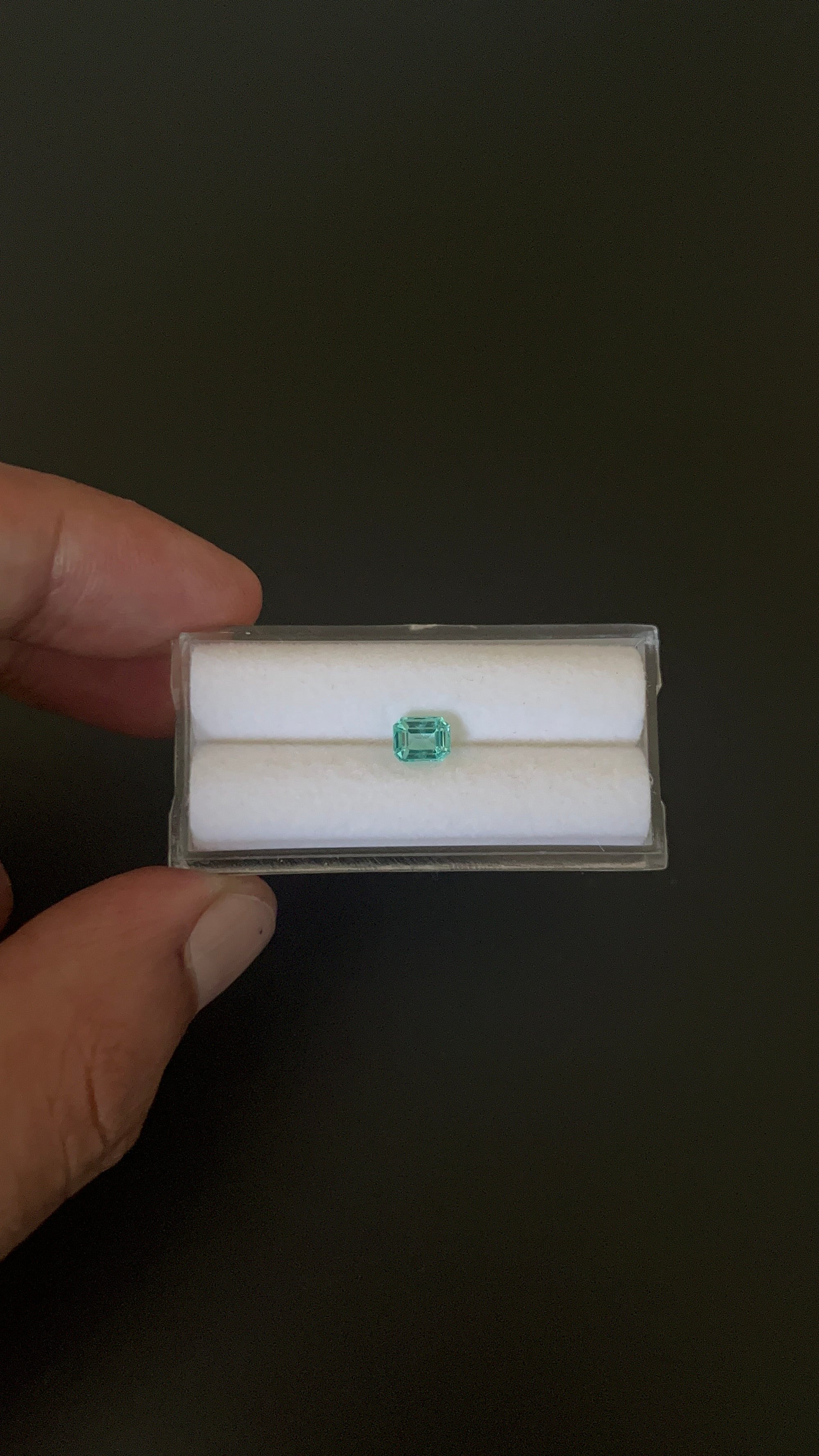 Natural Blue Apatite Faceted 5.8x4.5 mm Approximately .72 Carat (GTG-AP-114)