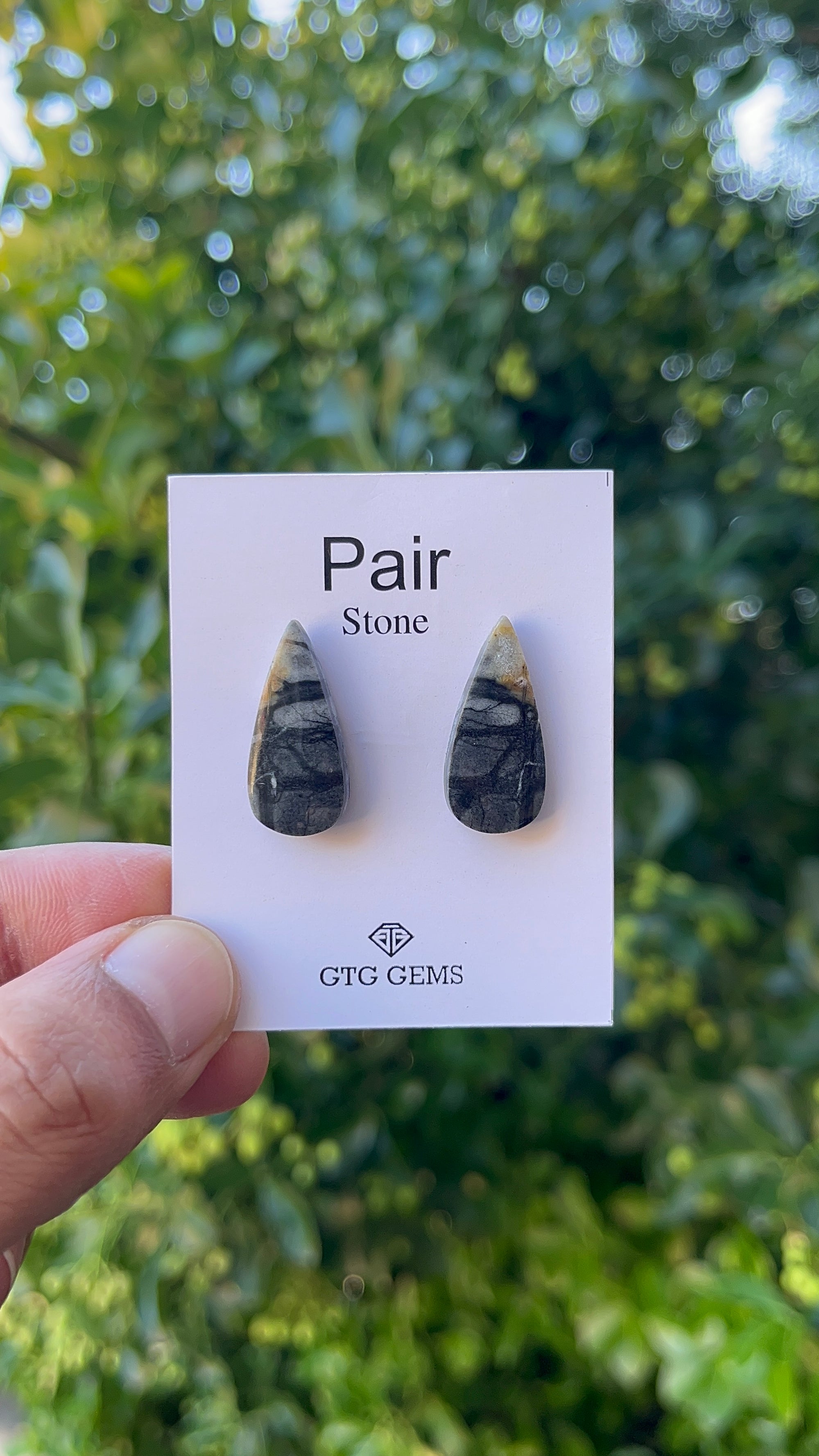 Picasso Jasper 24x11mm Matching Pair Cabochon Approximately 19.5 Carat (GTG-MPJ-7)