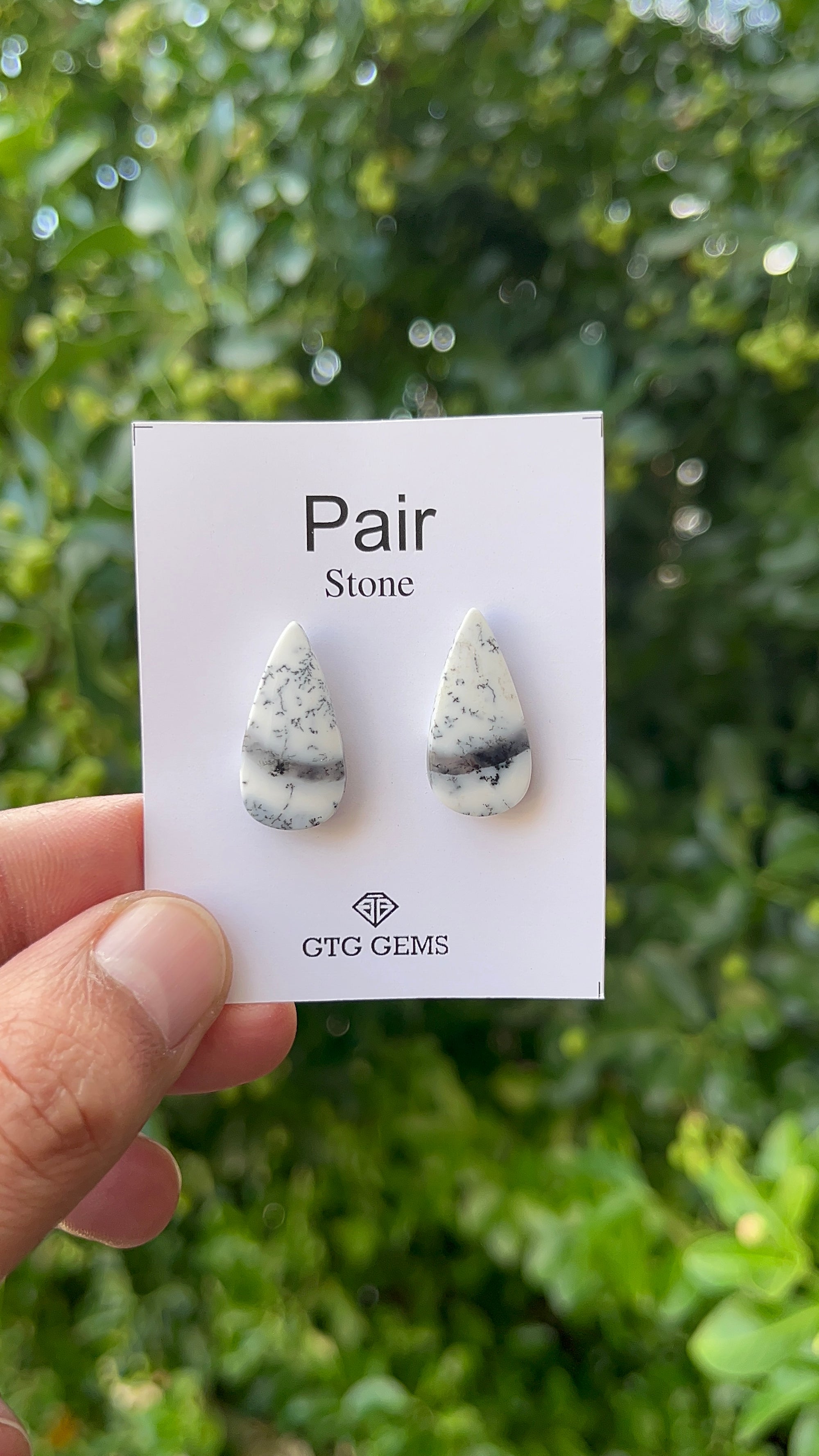 Dendritic Opal Cabochon Matching Pair 23x11 mm