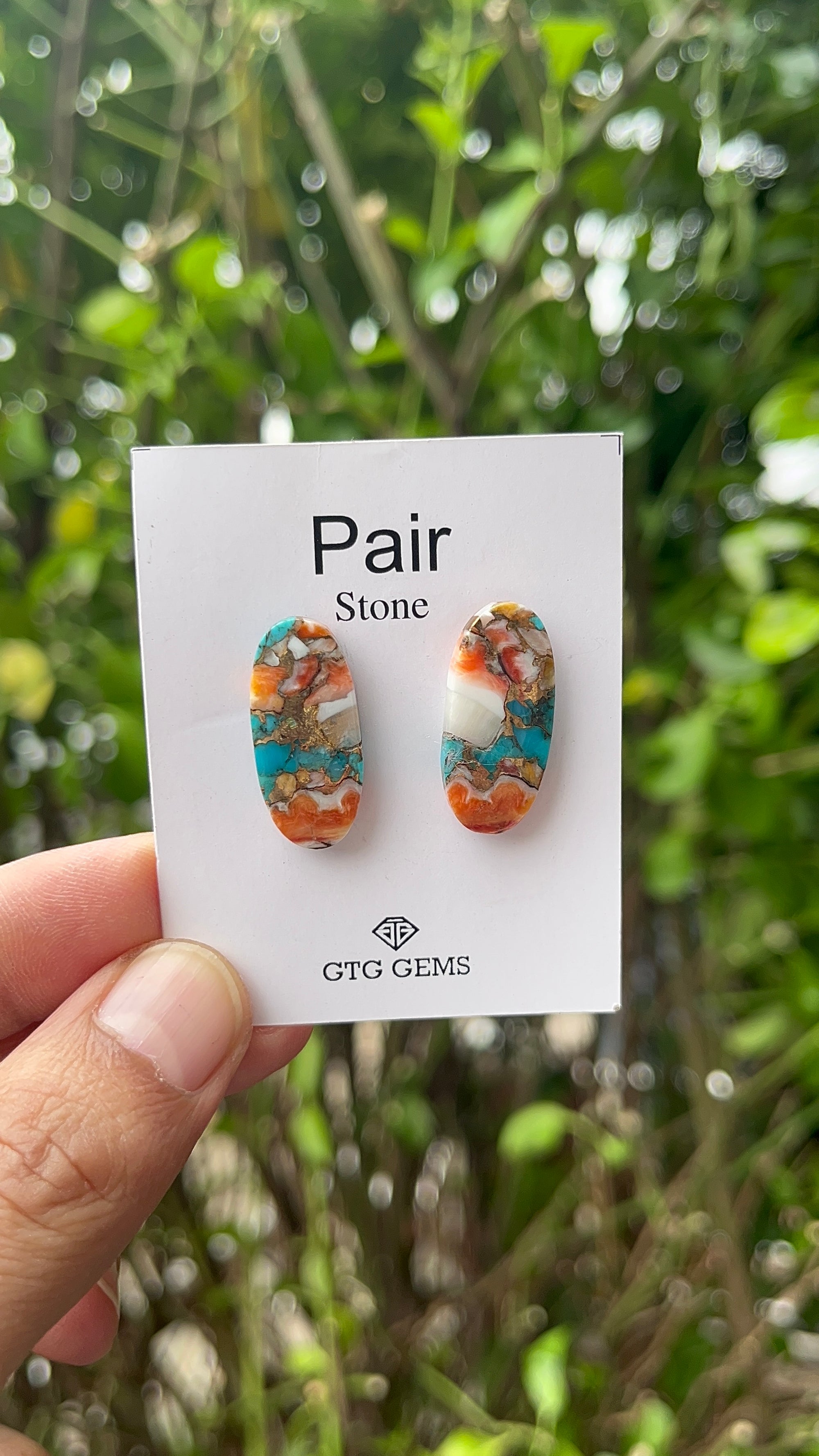 Oyster Copper Turquoise Cabochon Matching Pair 25x11 mm