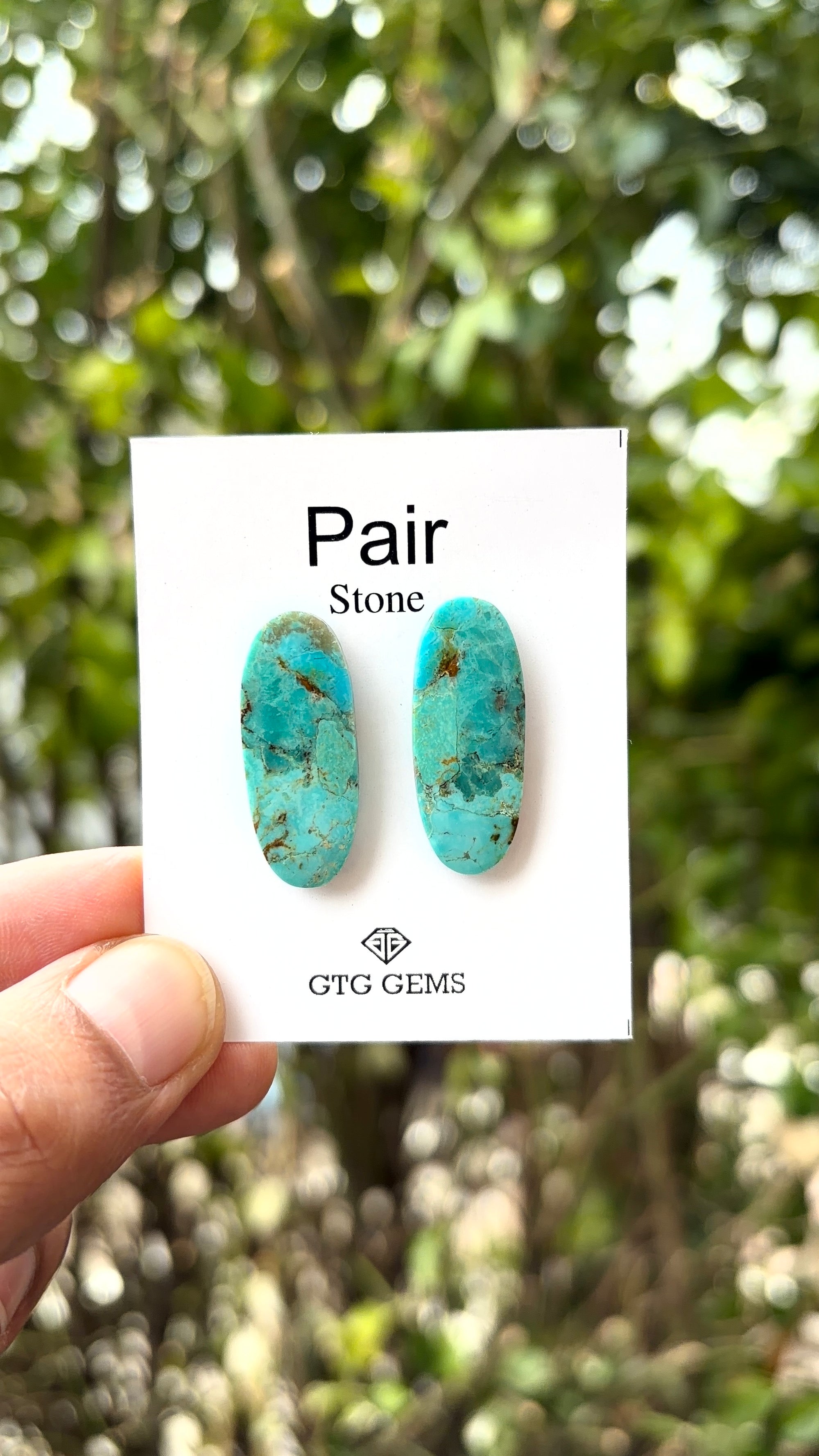 American Turquoise Cabochon Matching Pair 27x10 mm