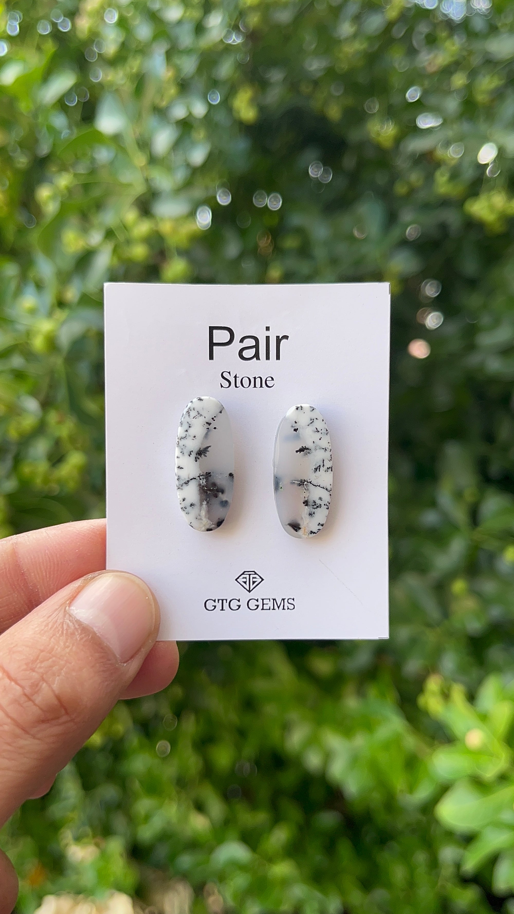 Dendritic Opal Cabochon Matching Pair 24x10 mm