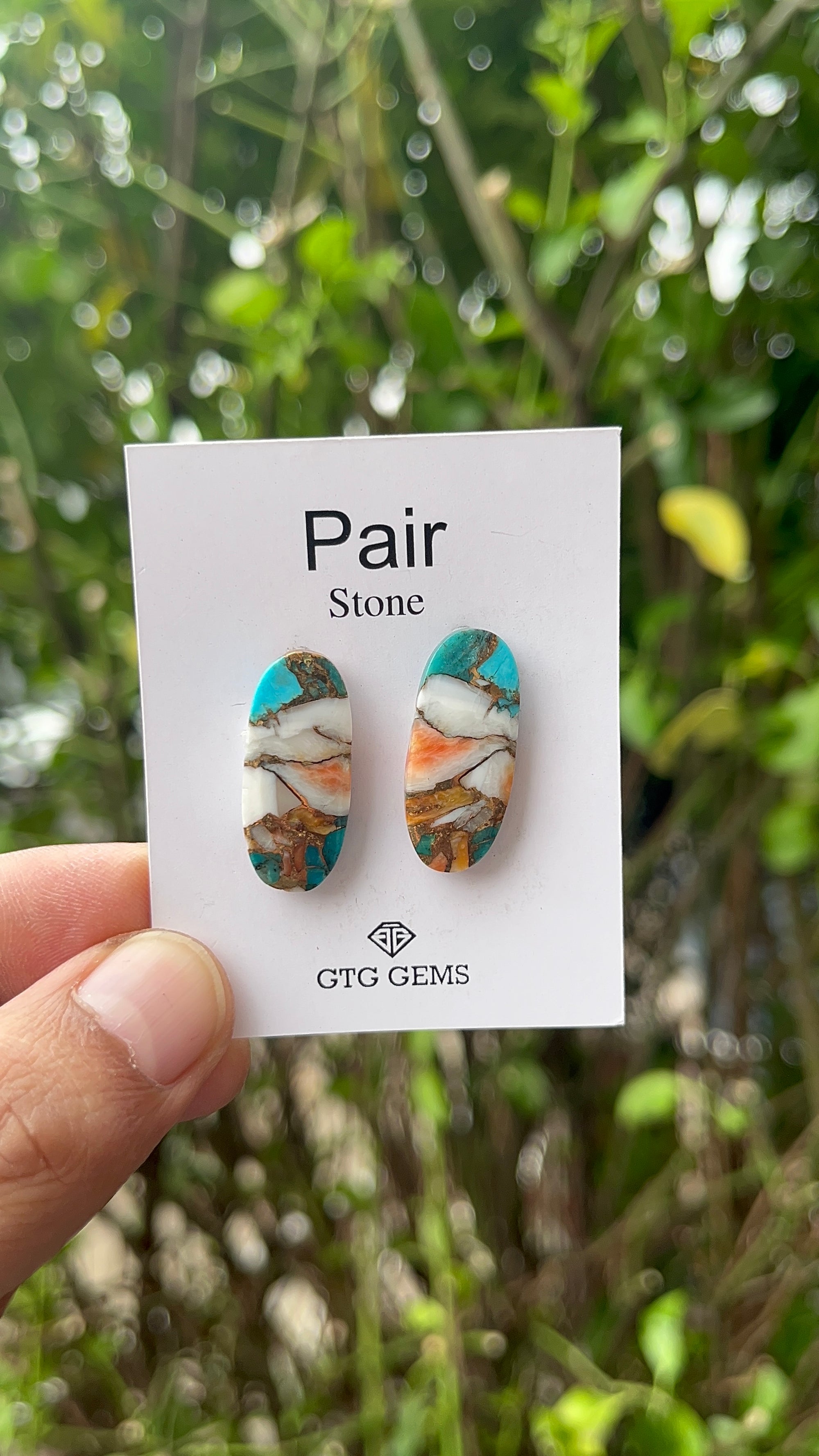 Oyster Copper Turquoise Cabochon Matching Pair 25x11 mm