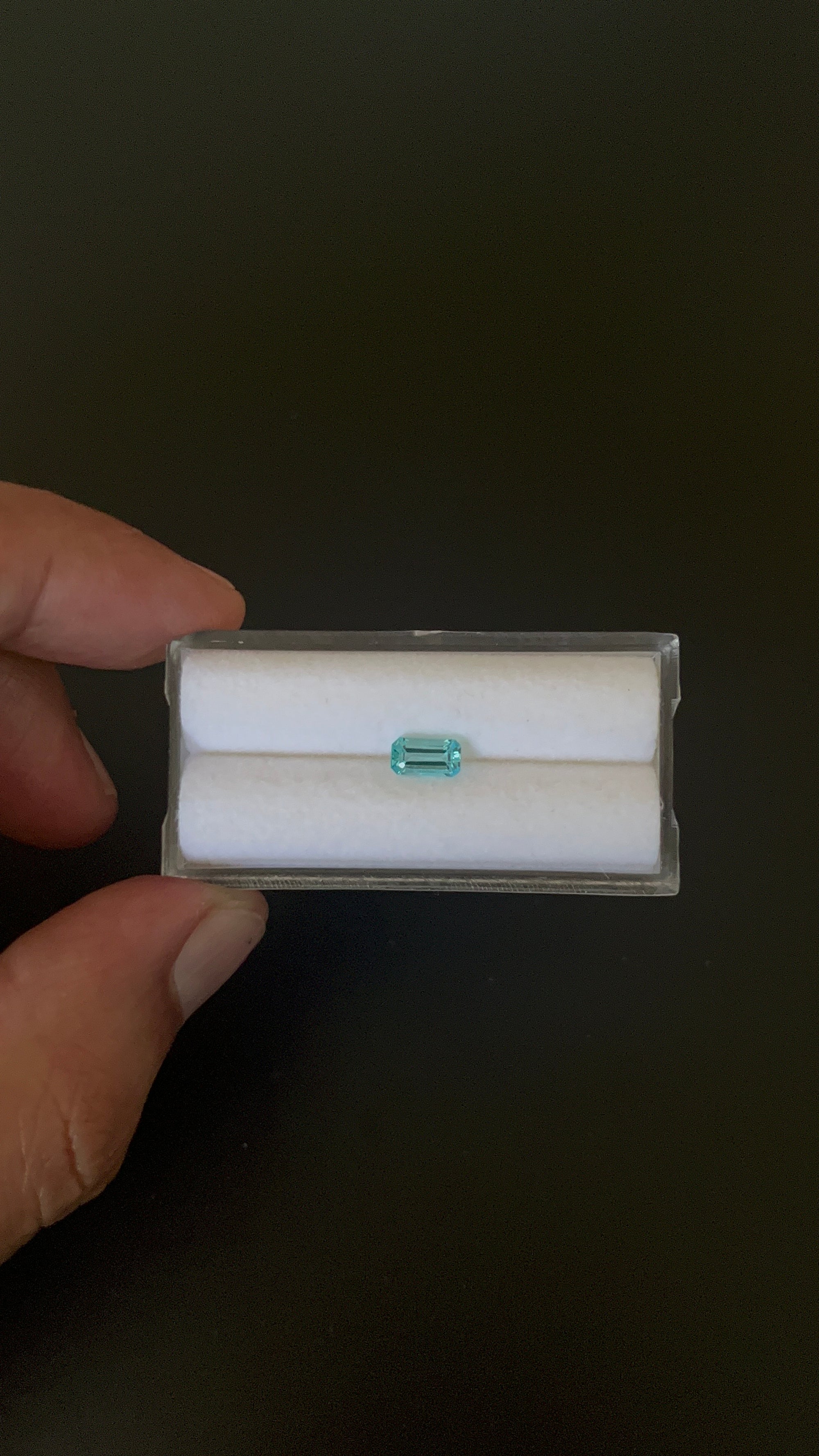 Natural Blue Apatite Faceted 6.7x3.7 mm Approximately .60 Carat (GTG-AP-116)