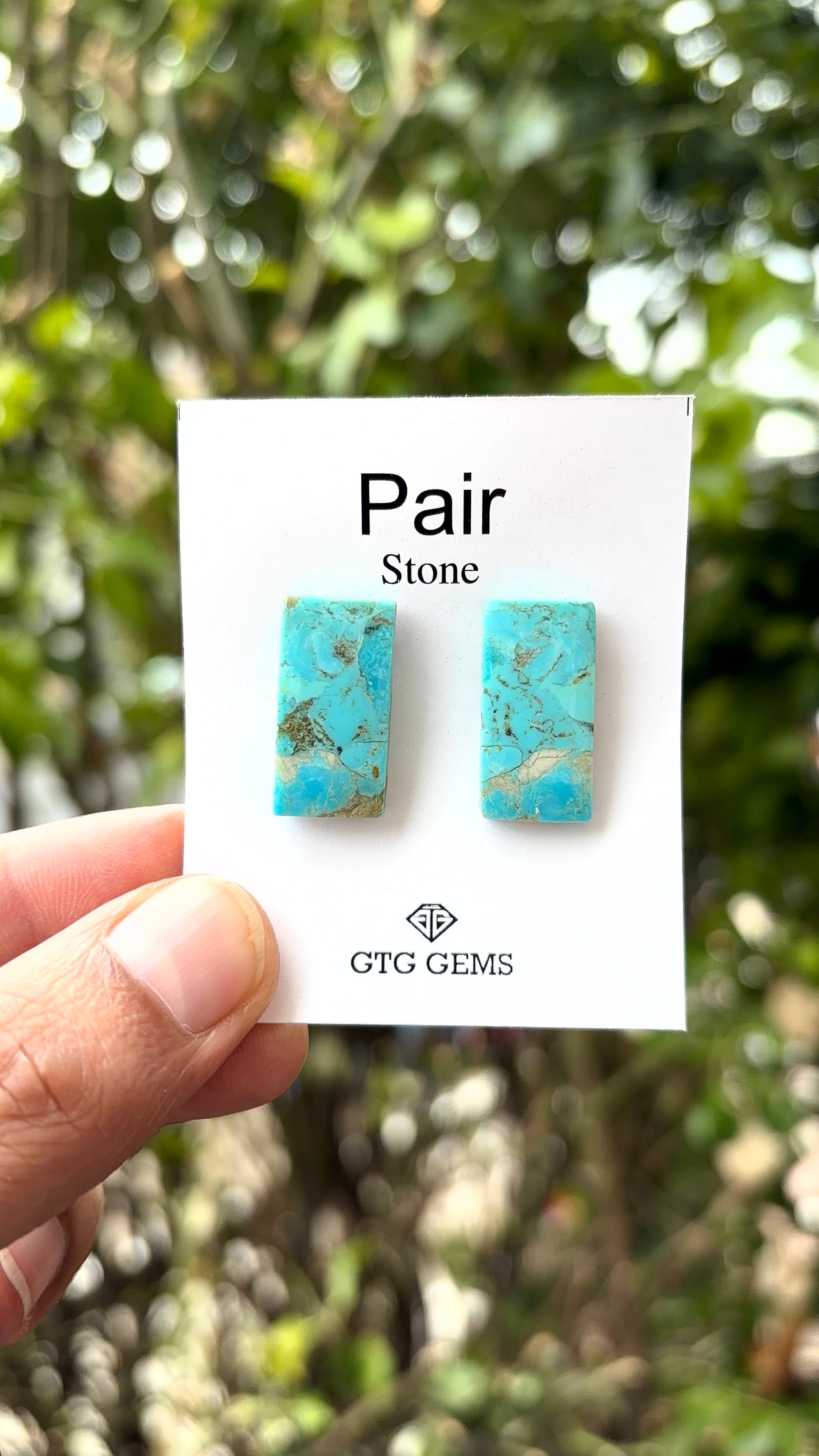 American Turquoise Cabochon Matching Pair 21x10 mm