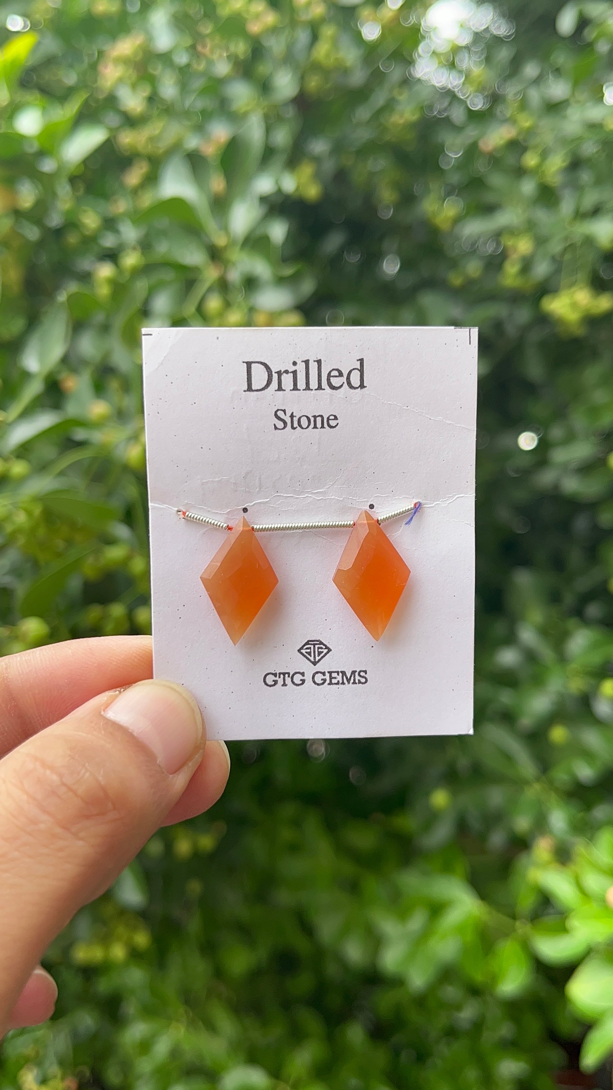 Natural Carnelian Drilled Shield  Shape 20x12mm Approximately 11 Carat