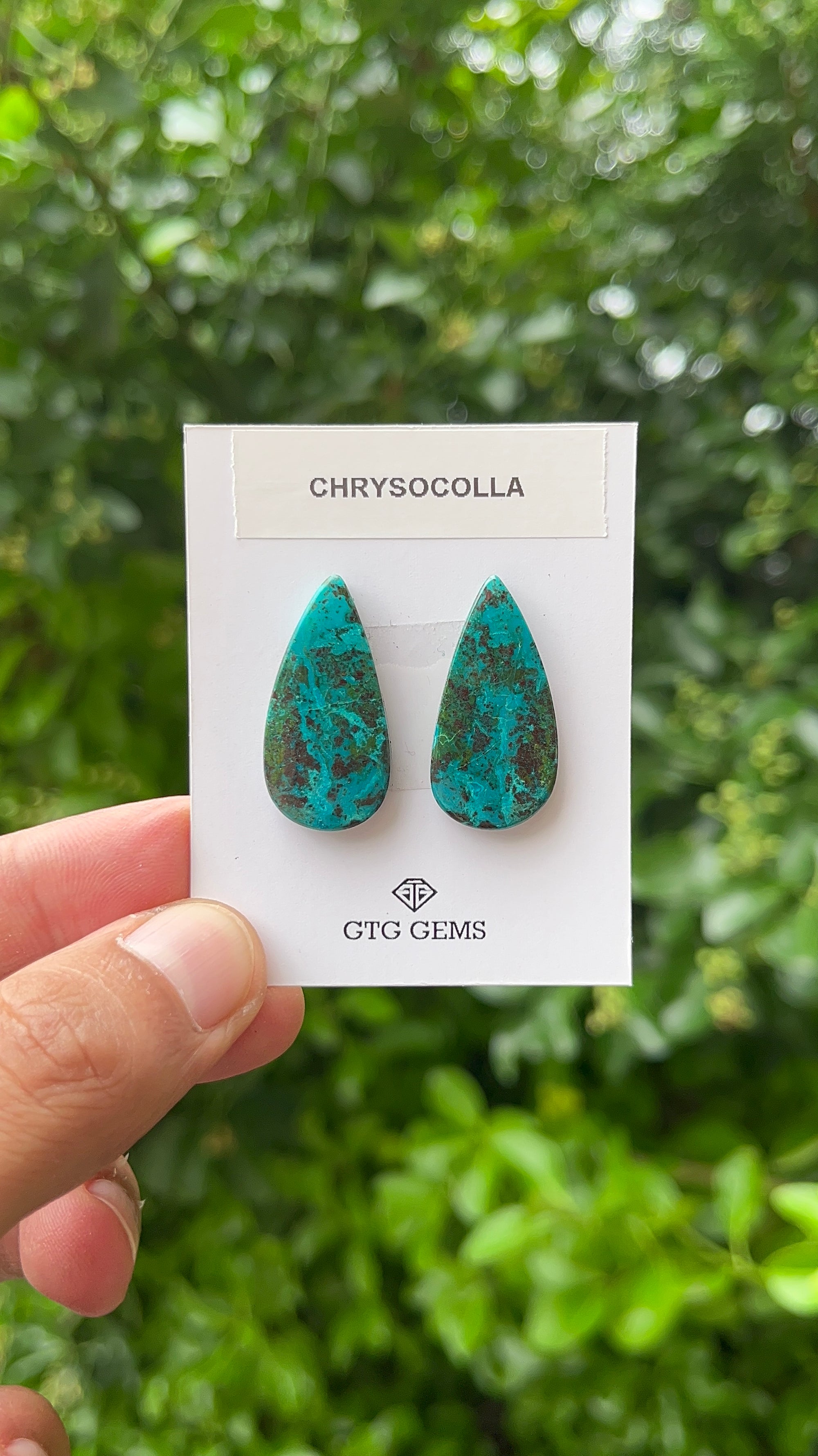 Chrysocolla Malachite, Cabochon Matching Pair 28.5x14.5 mm