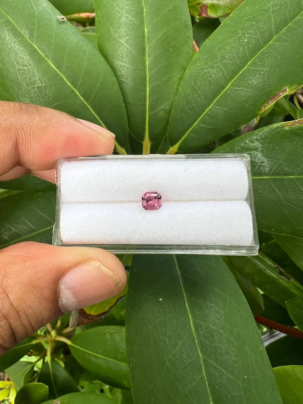Pink Spinel Cushion 5x4.5x3.2mm Single Piece Approximately 0.50 Carat (GTG-SP-8)