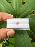 Pink Spinel Cushion 5x4.5x3.2mm Single Piece Approximately 0.50 Carat (GTG-SP-8)
