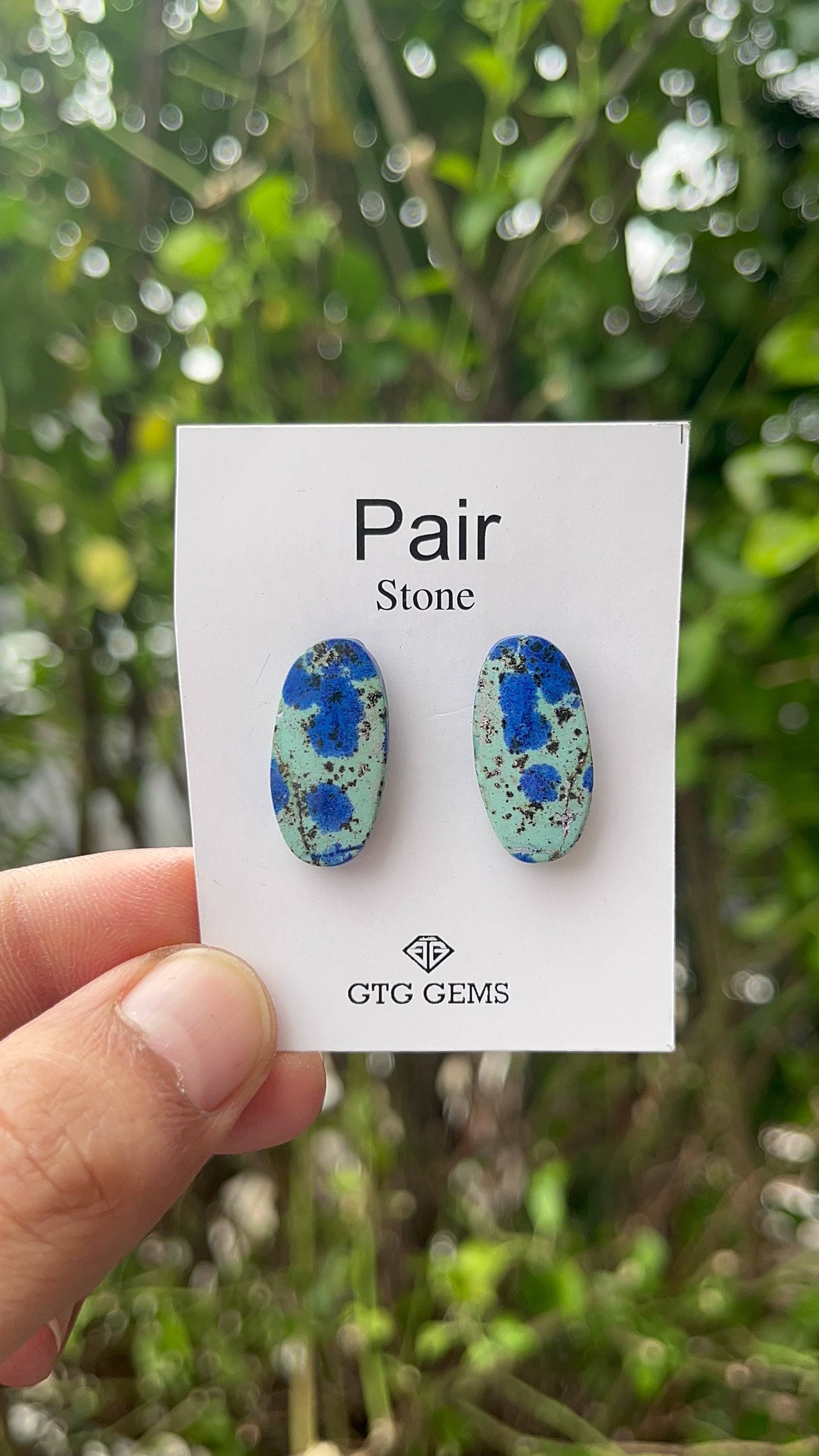 Azurite Malachite, Cabochon Matching Pair 23x11 mm