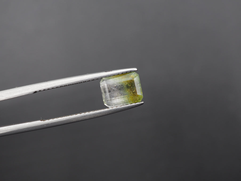 Watermelon Tourmaline Faceted Gemstone 8.1x6.3 mm