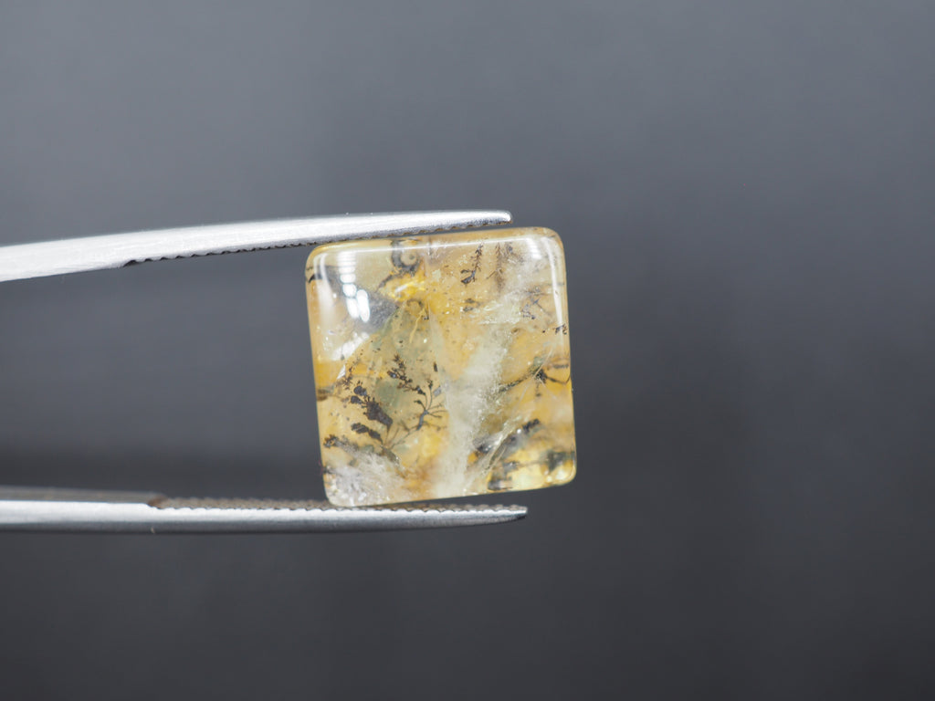 Dendrite Quartz 14x14 mm